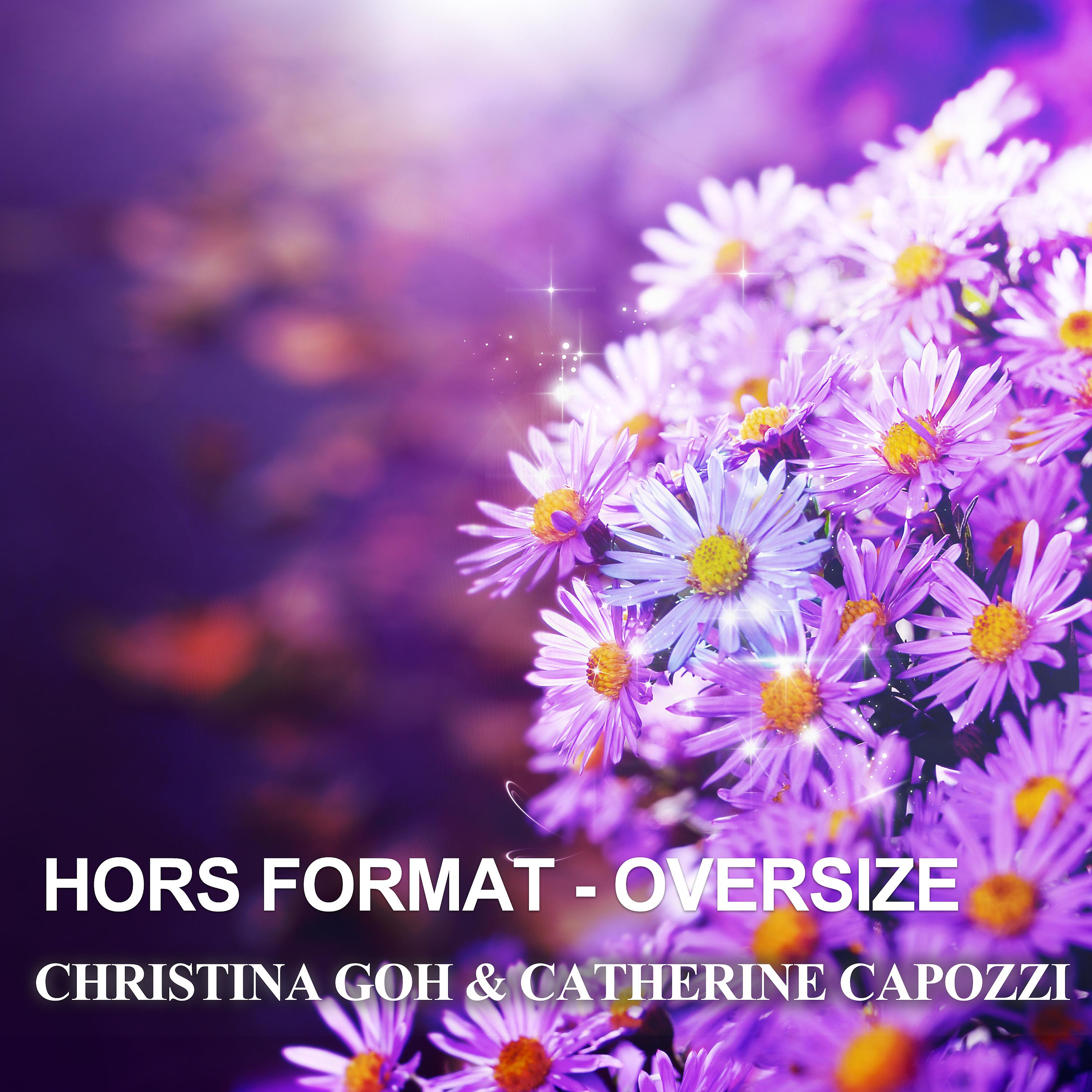 Постер альбома Hors Format - Oversize