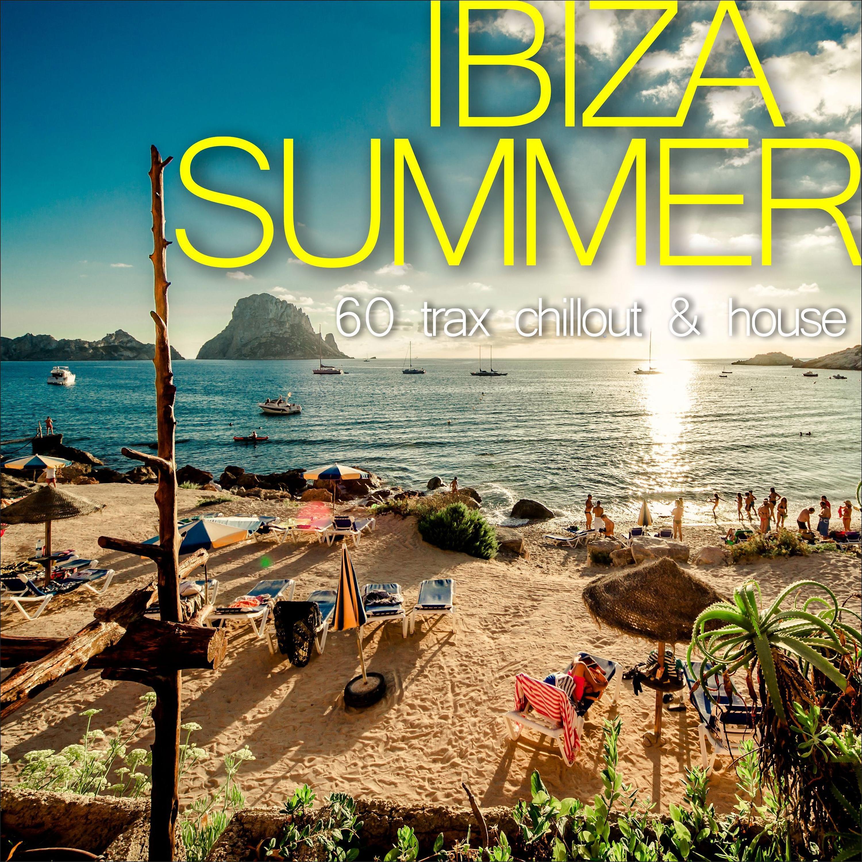 Постер альбома Ibiza Summer - 60 Trax Chillout & House