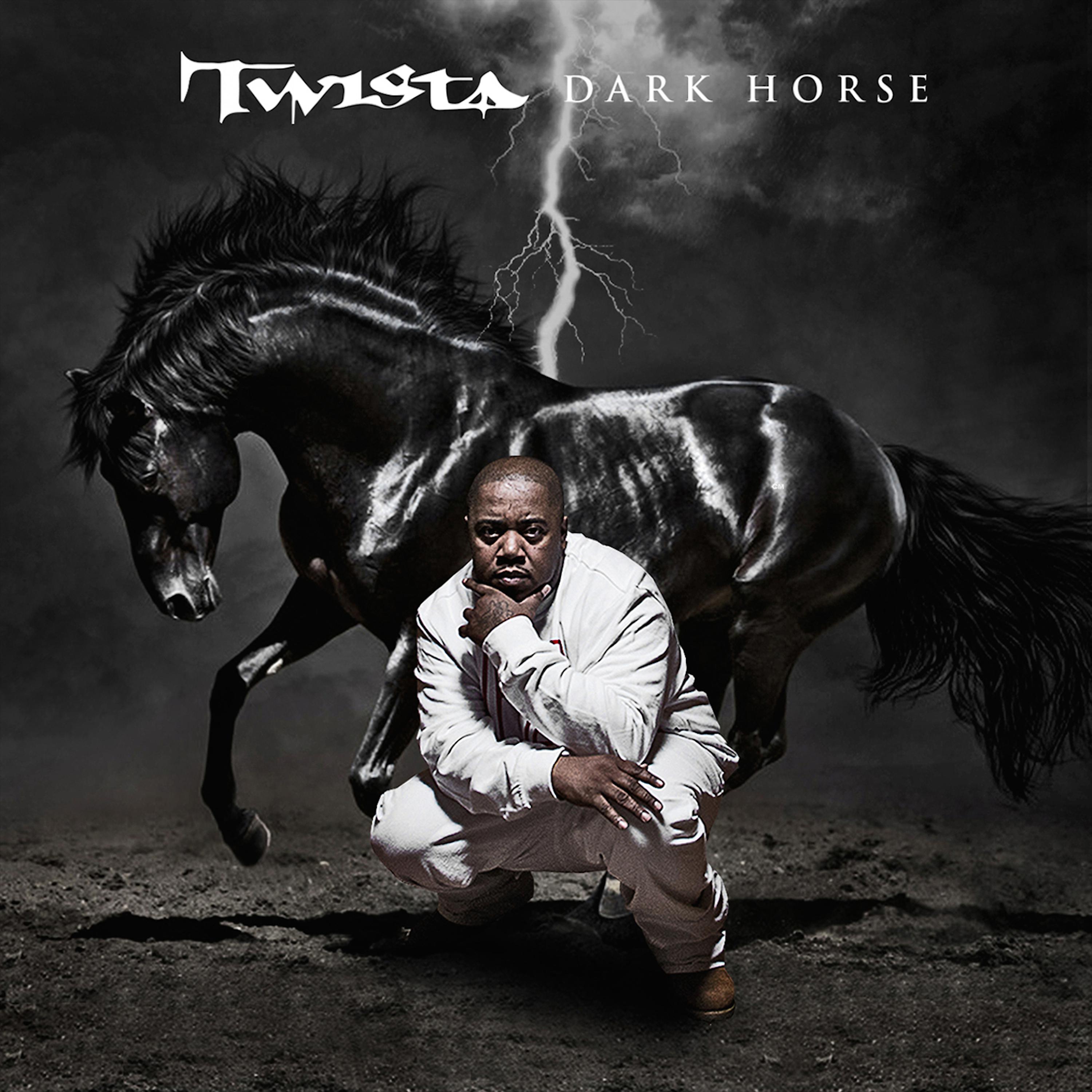 Постер альбома The Dark Horse