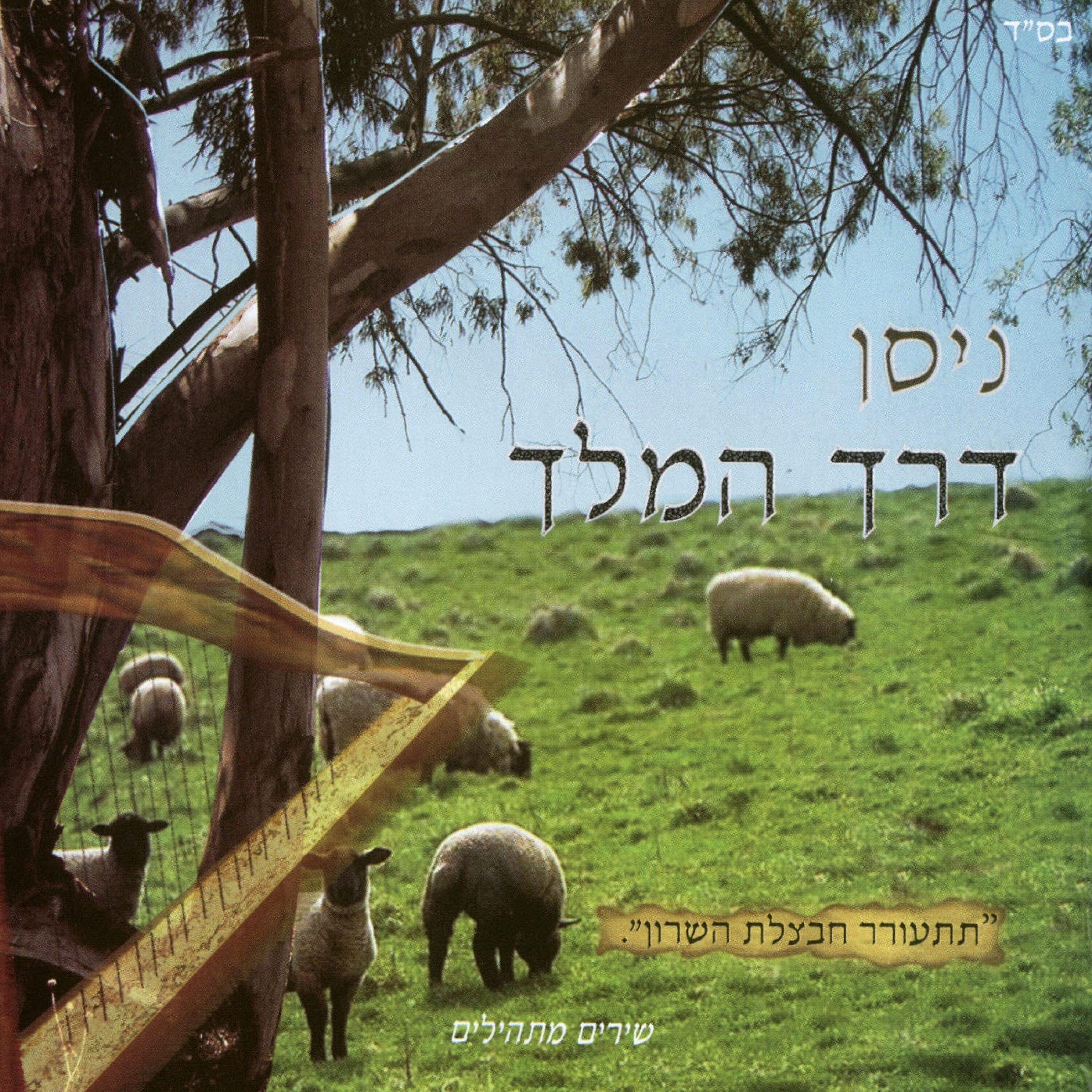 ניסן - אלי אלי