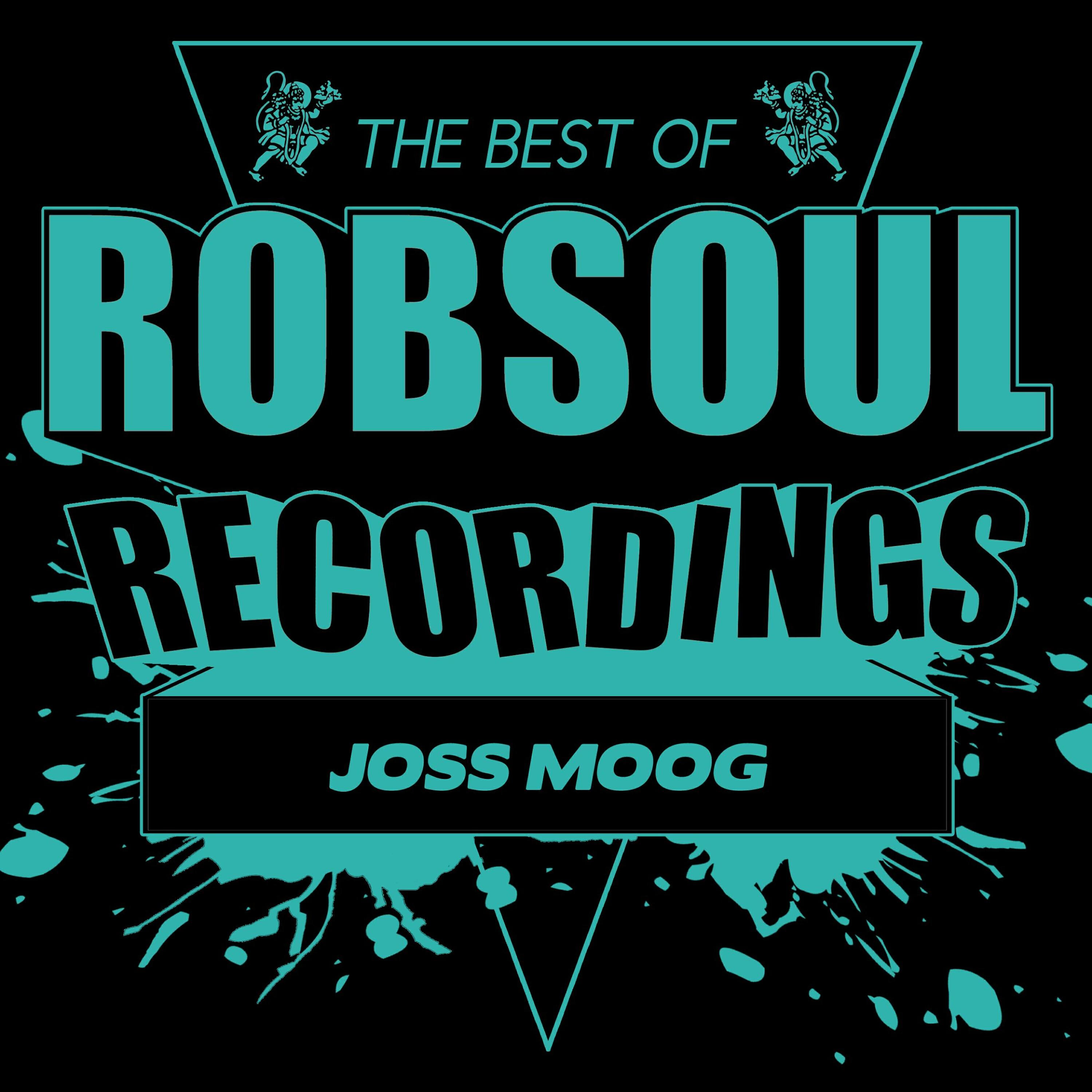 Joss Moog - Room 27