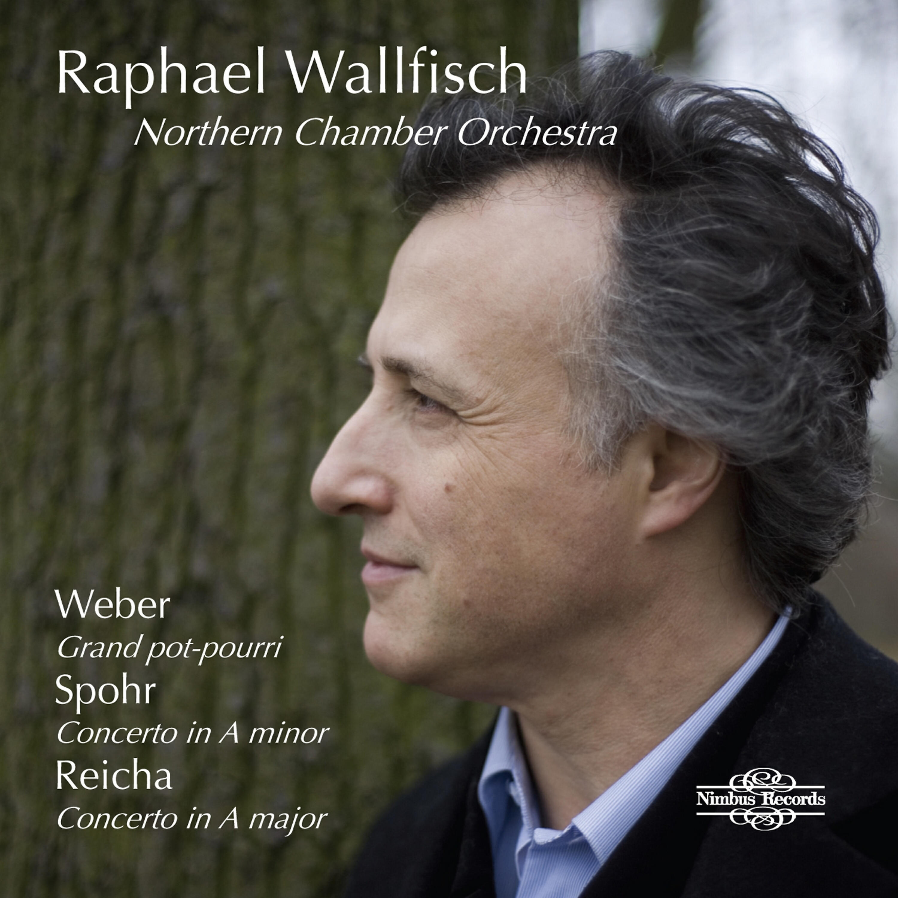 Raphael Wallfisch - Grand potpourri in D Major, Op. 20: I. Maestoso
