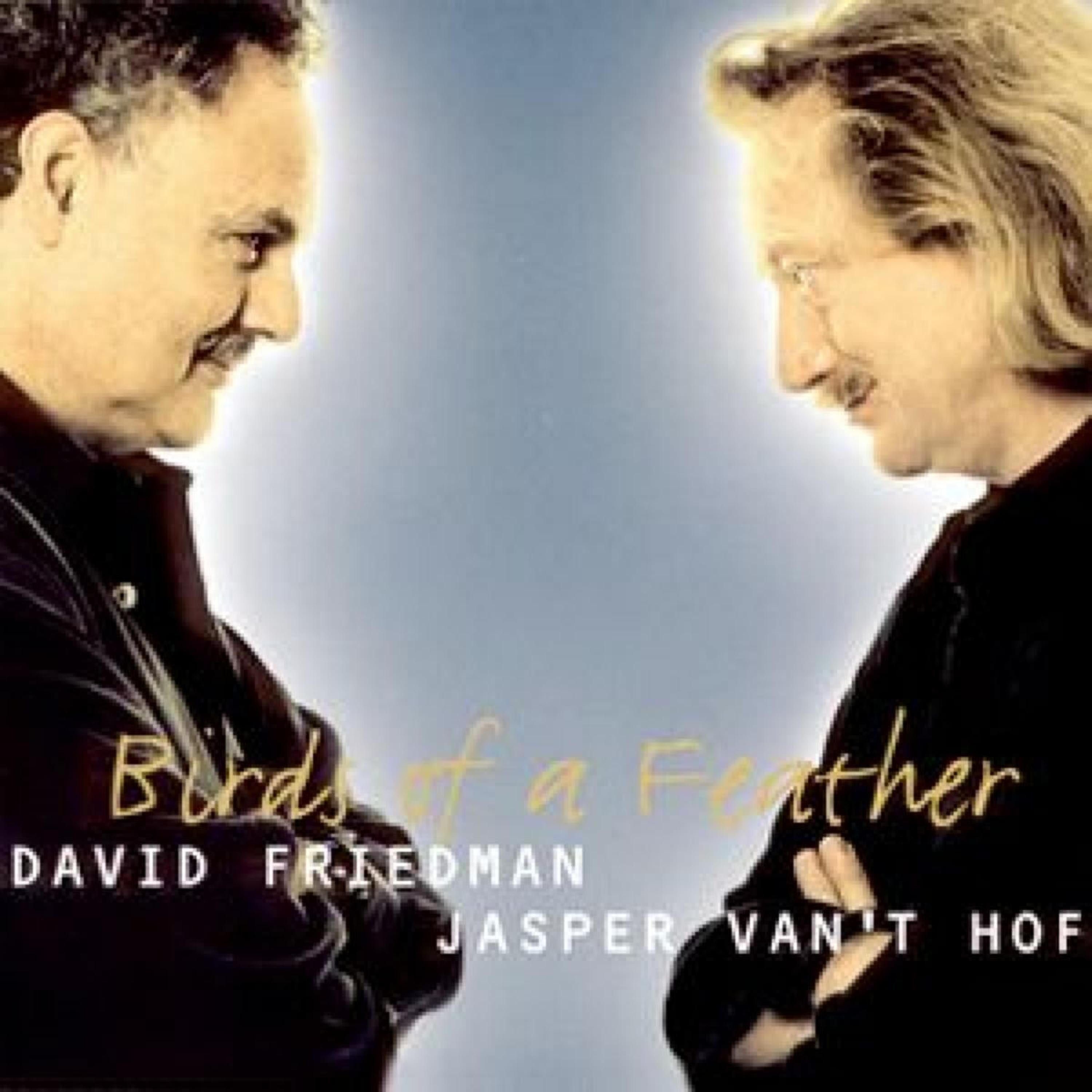 David Friedman - Pampas Fugue
