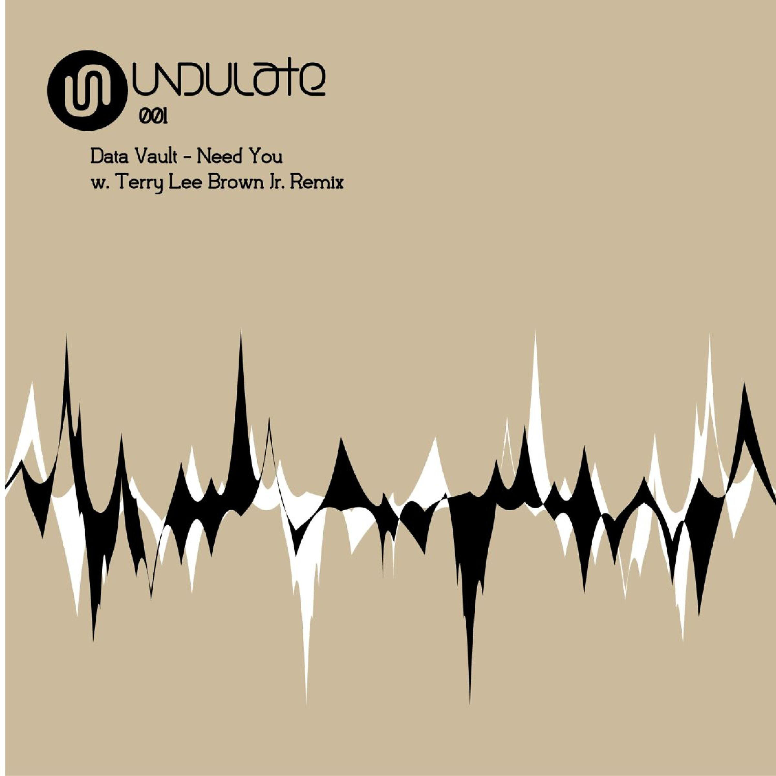 Data Vault - Need You (Terry Lee Brown Junior Remix)