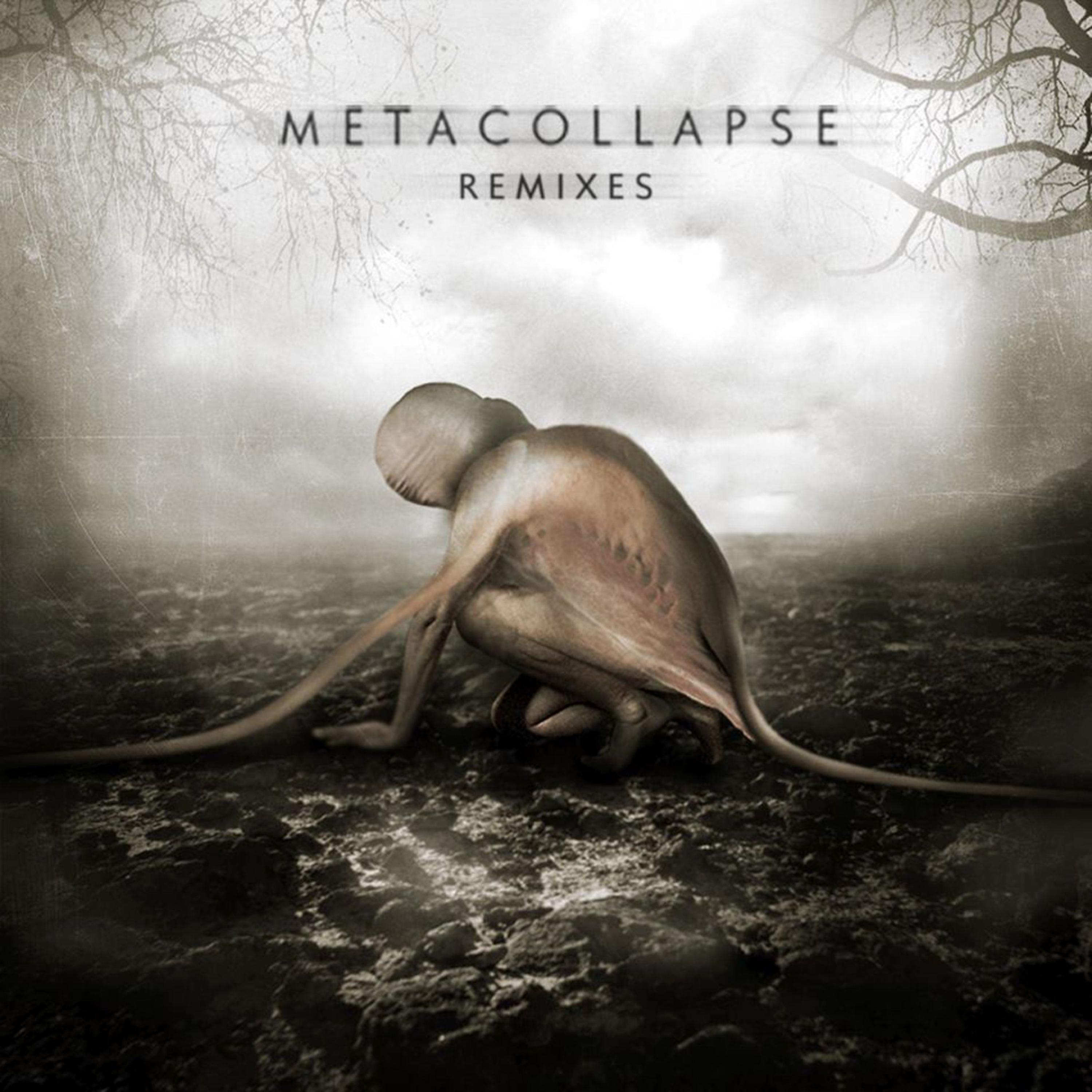 Постер альбома Metacollapse