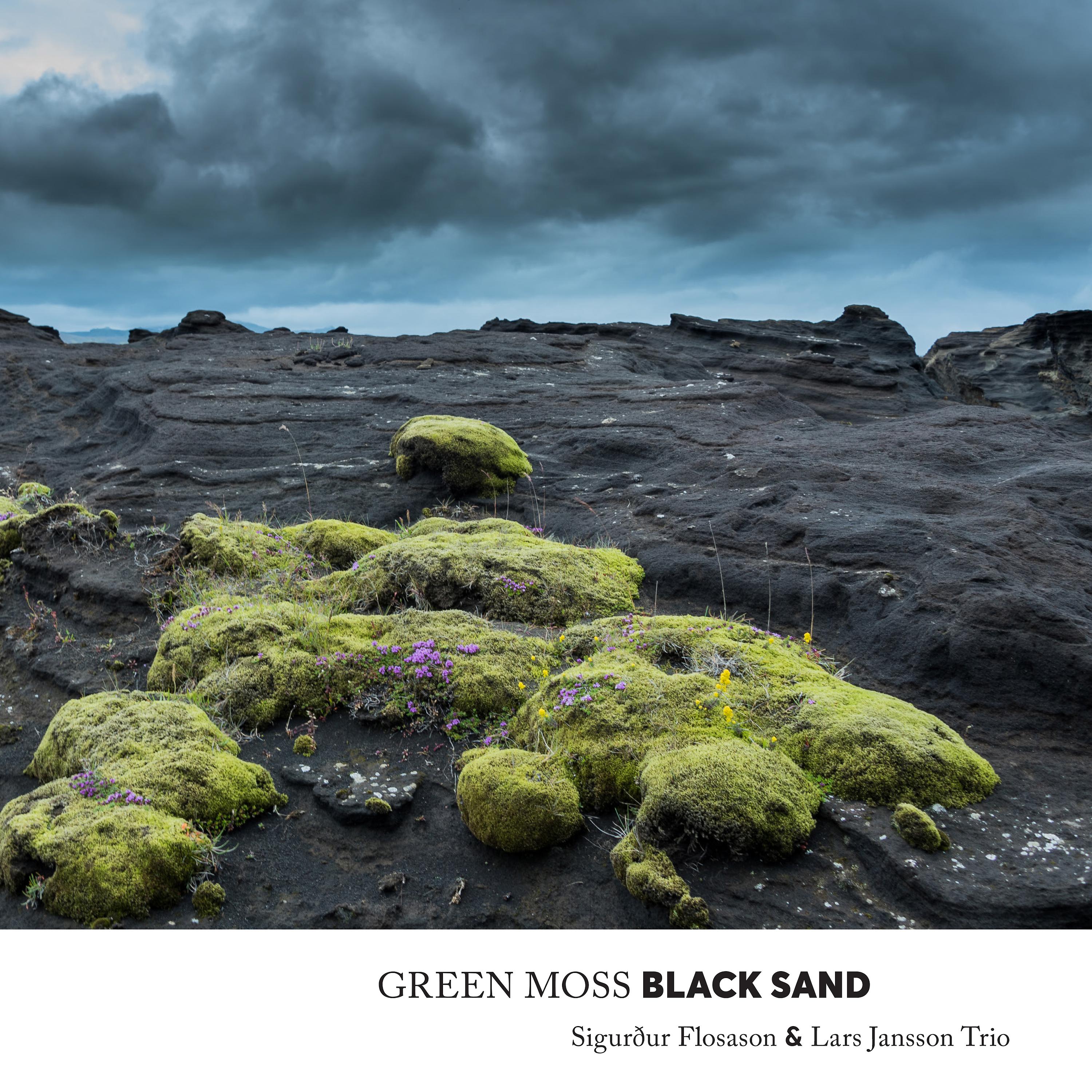Постер альбома Green Moss Black Sand