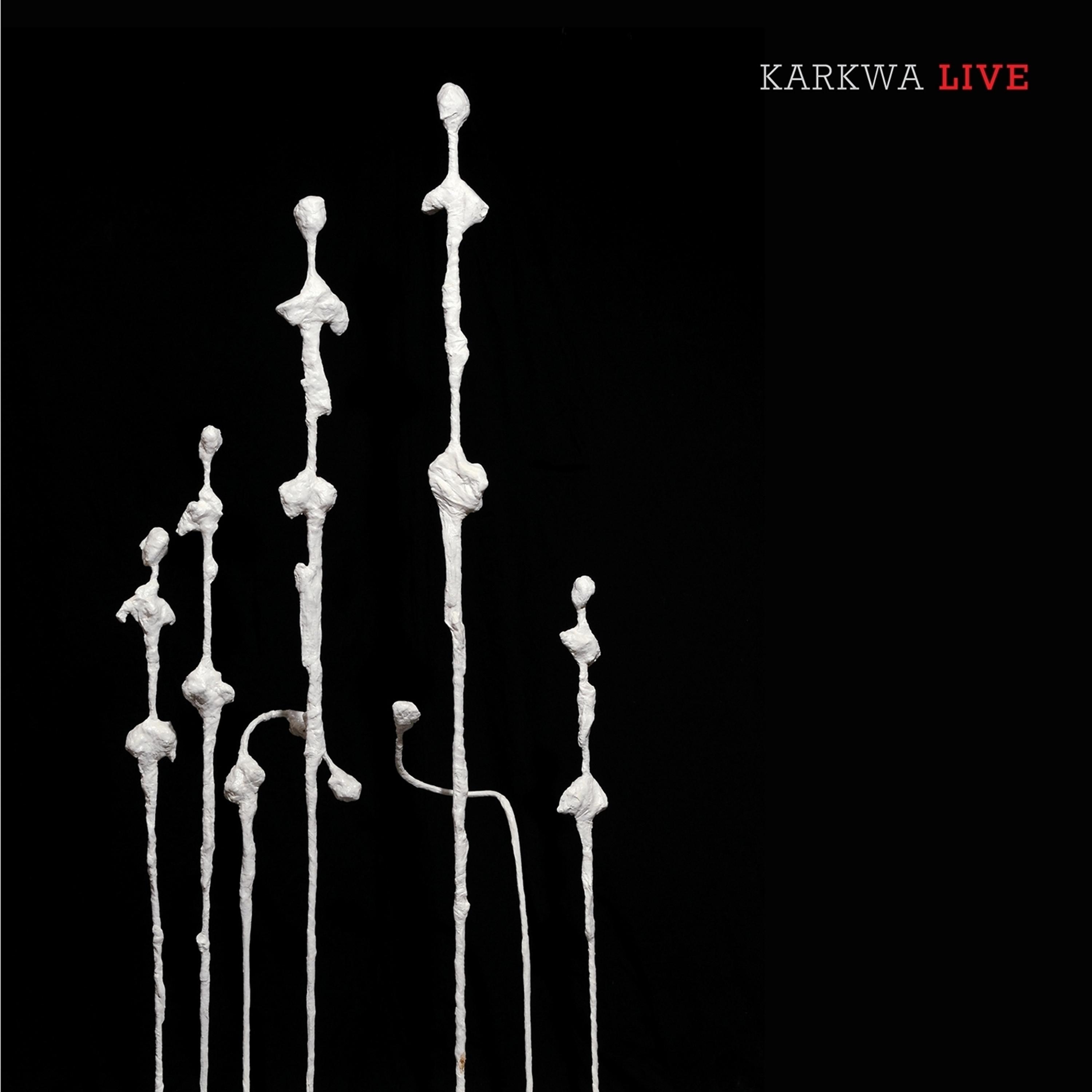 Постер альбома Karkwa Live