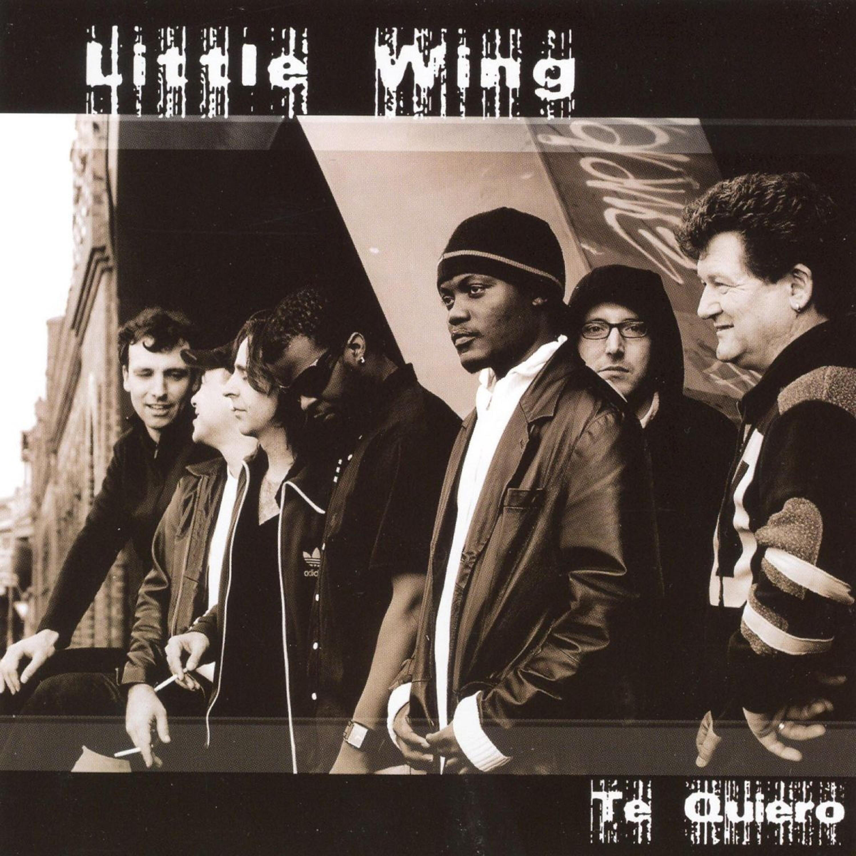 Little Wing - Little Wing - The Next Generation