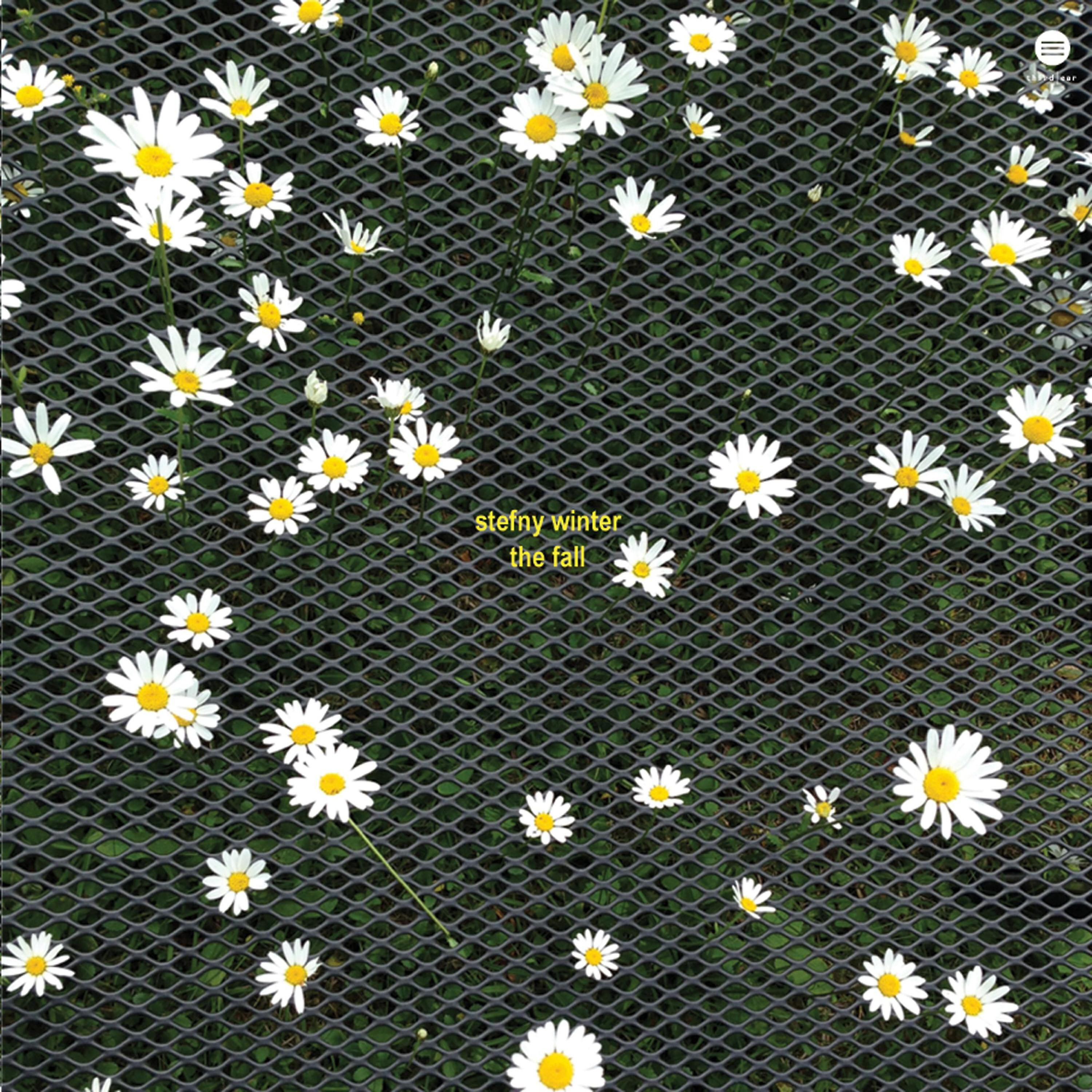 Stefny Winter - Vitamin D