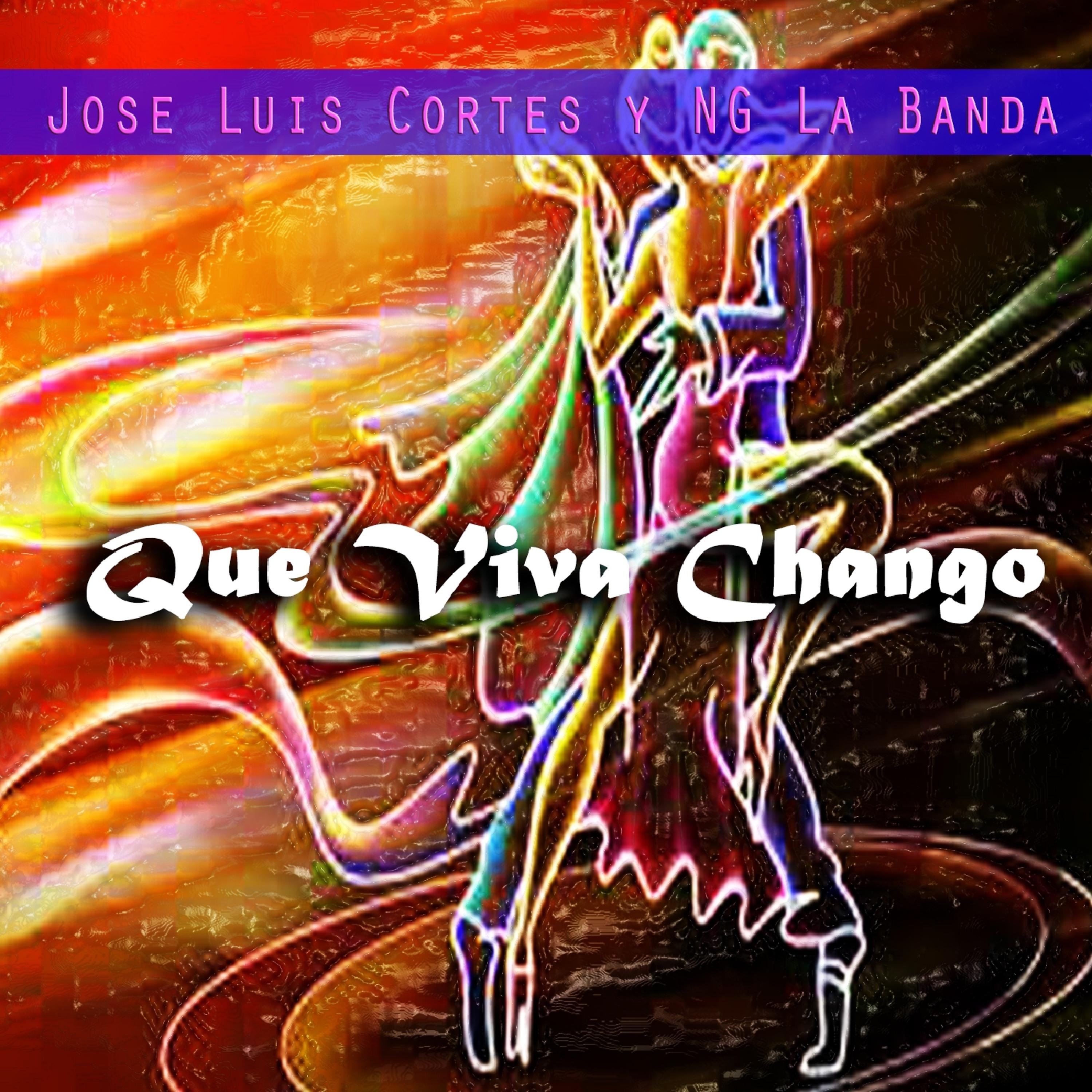 Постер альбома Que Viva Chango