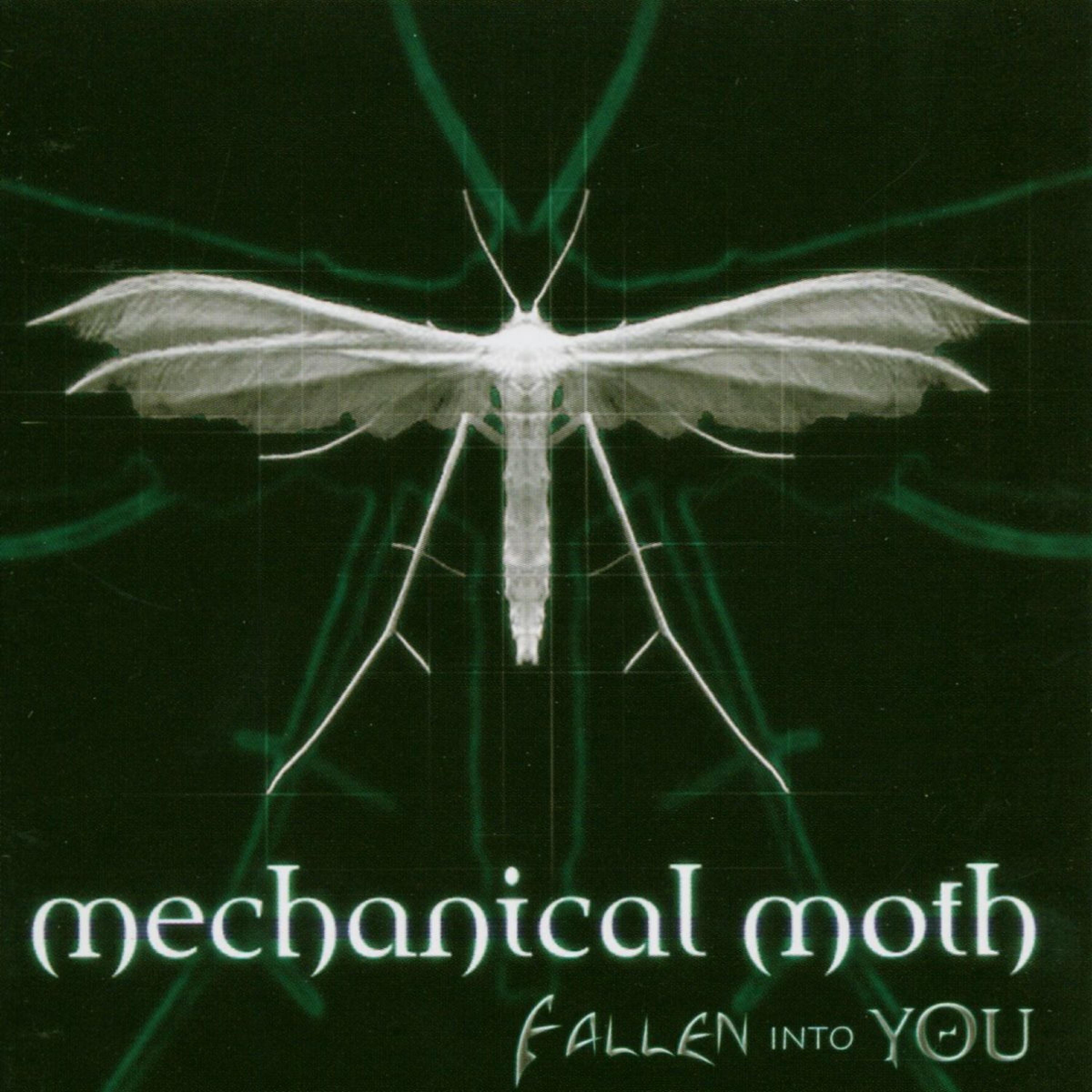 Mechanical Moth - Fallen into You