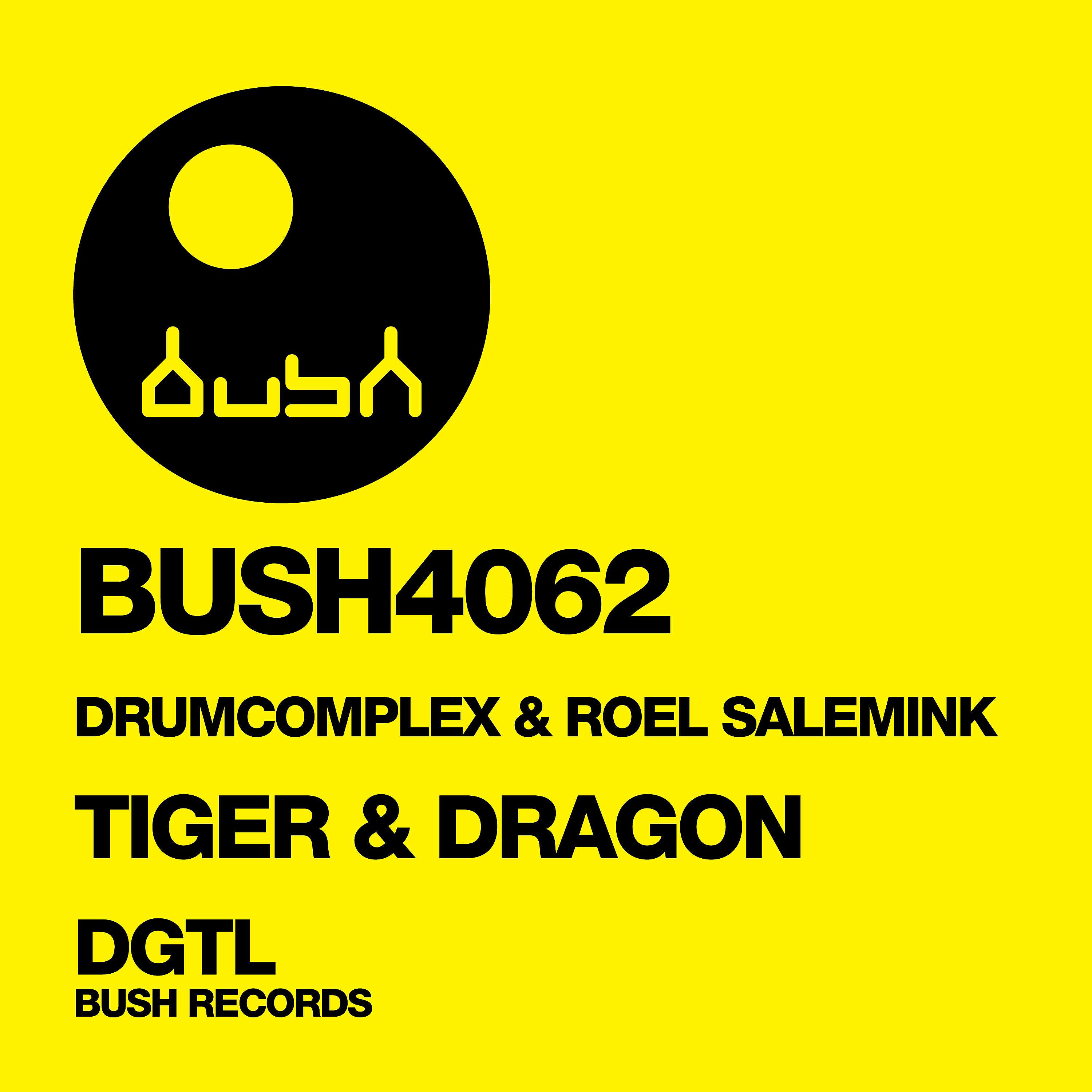 Drumcomplex - Dragon