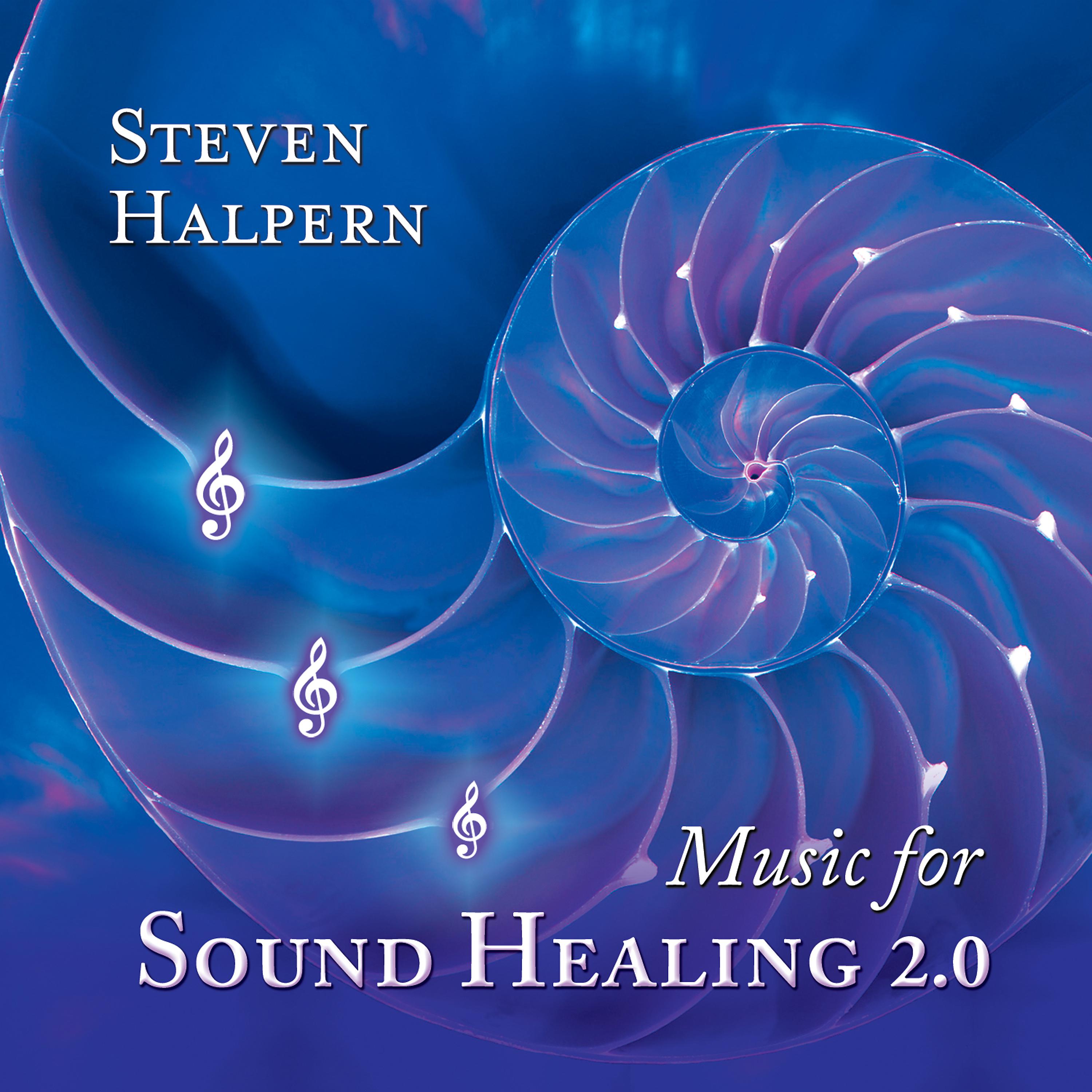 Постер альбома Music for Sound Healing 2.0