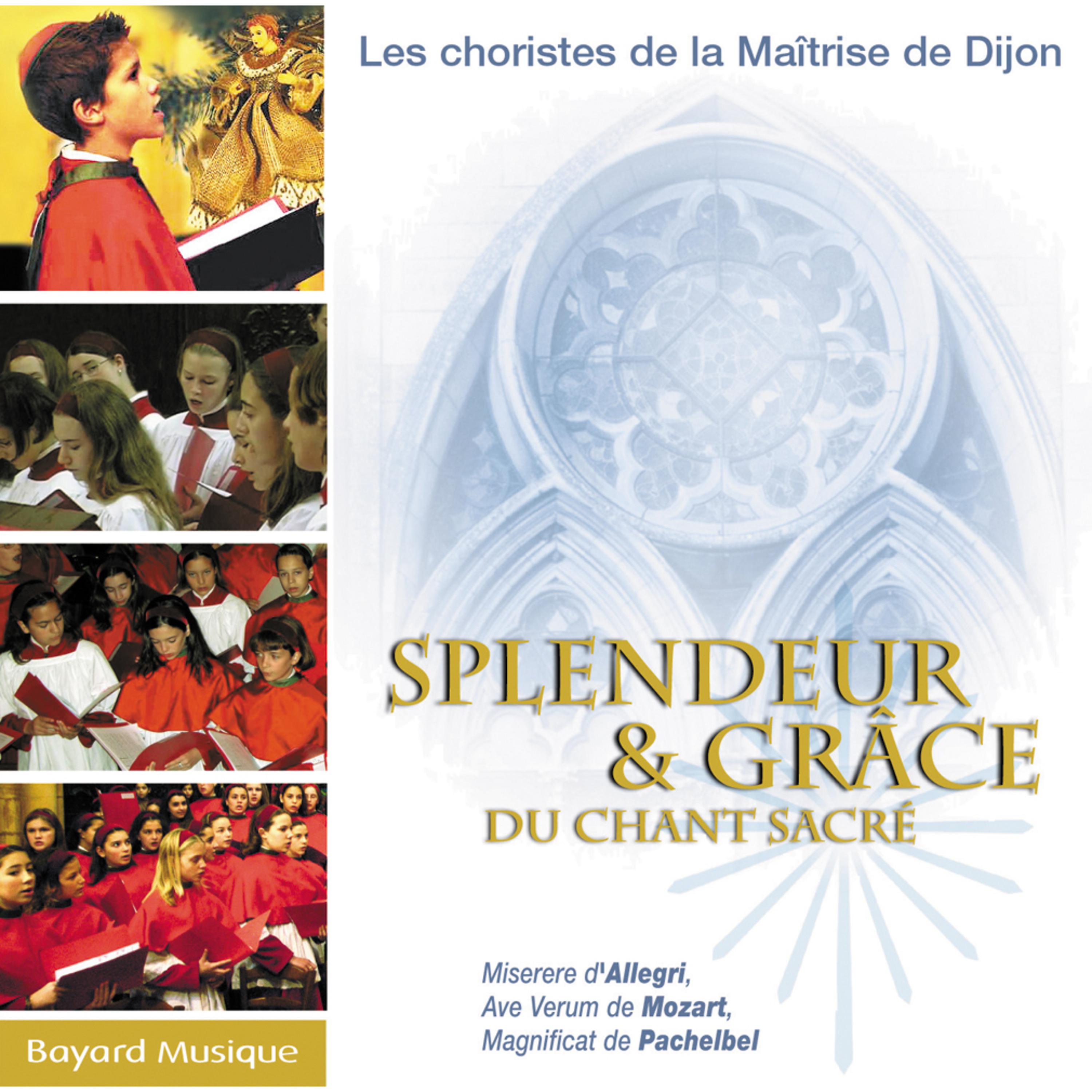 Постер альбома Splendeur & grâce du chant sacré