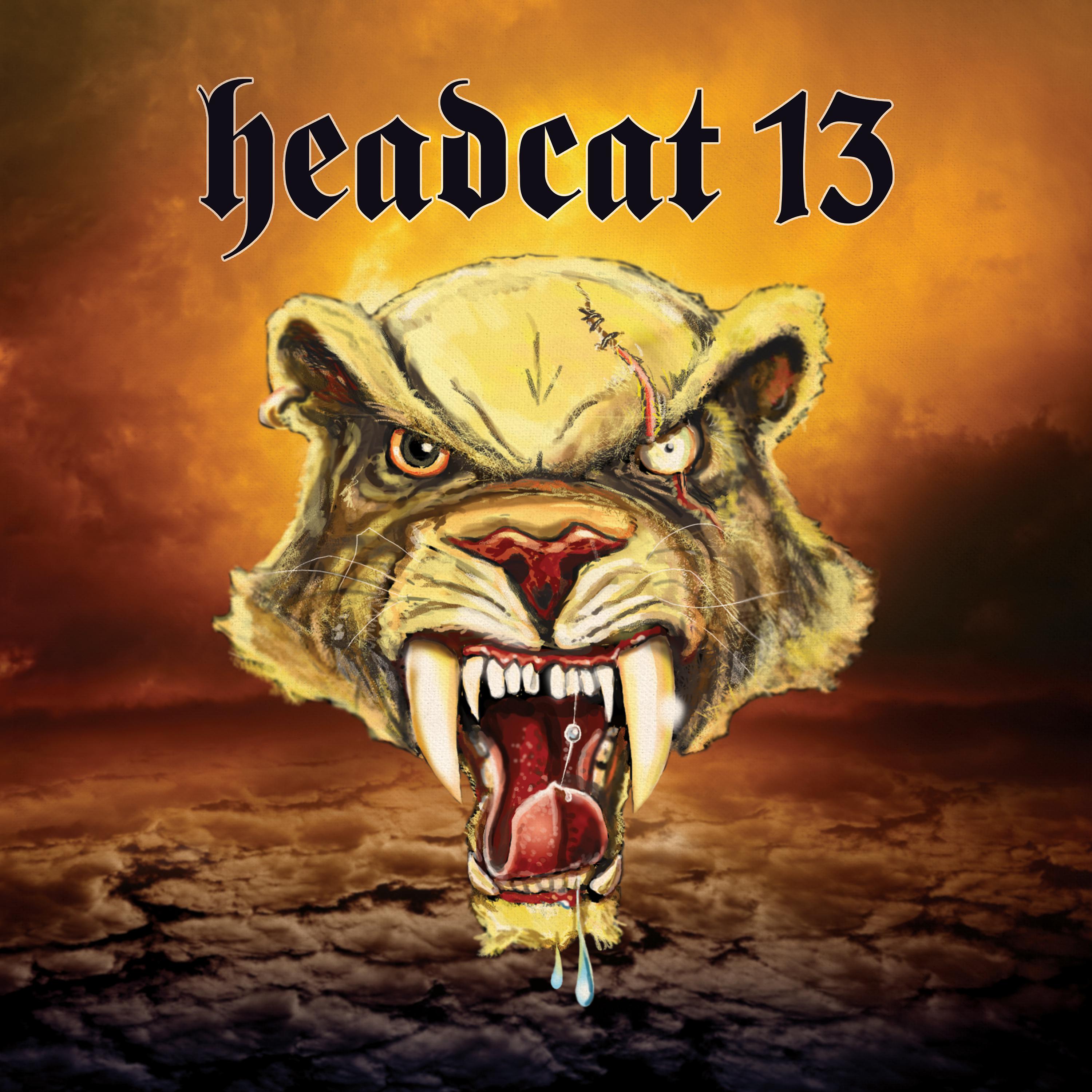 Постер альбома Headcat 13