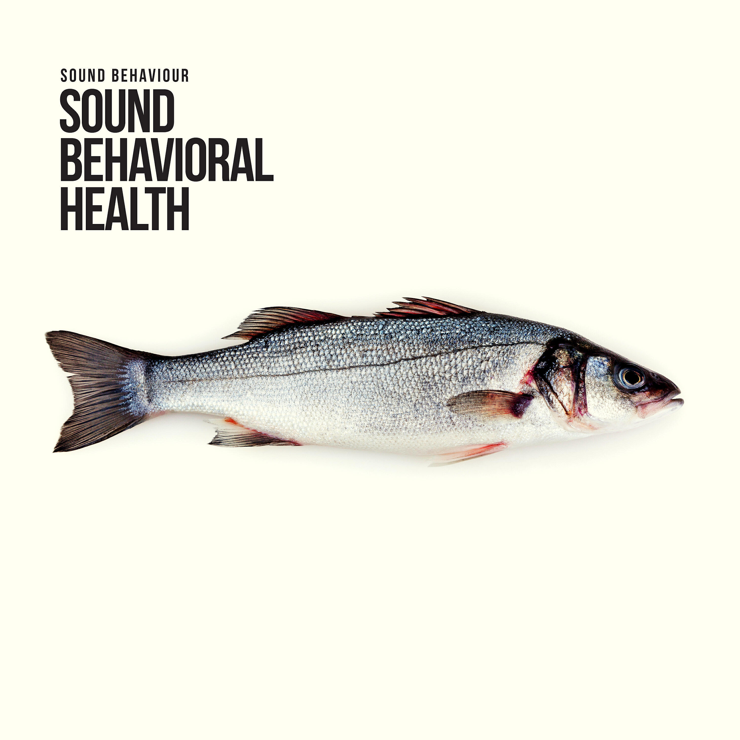 Sound Behaviour - Alexia