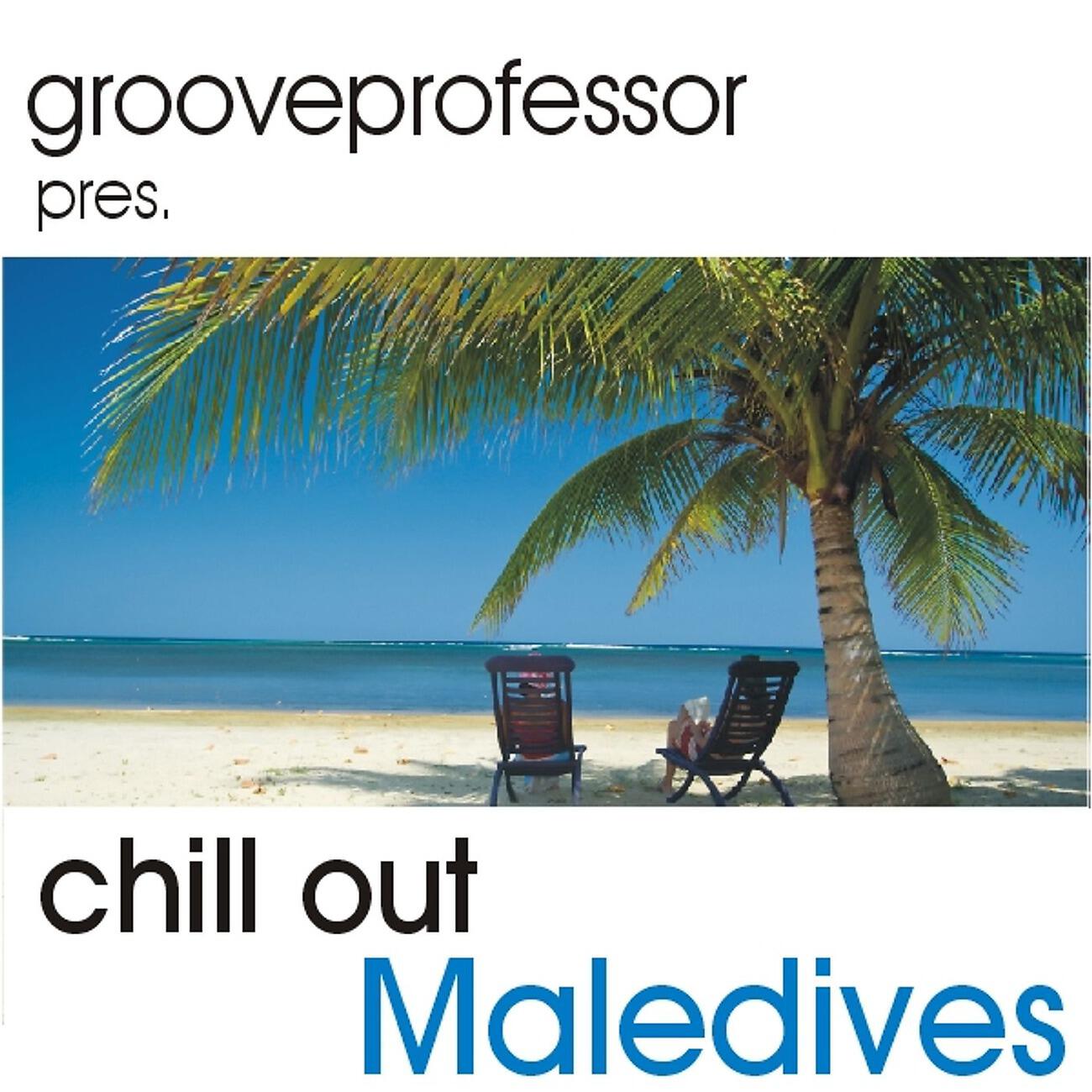 Grooveprofessor - It's Not Too Late (Chillmix)