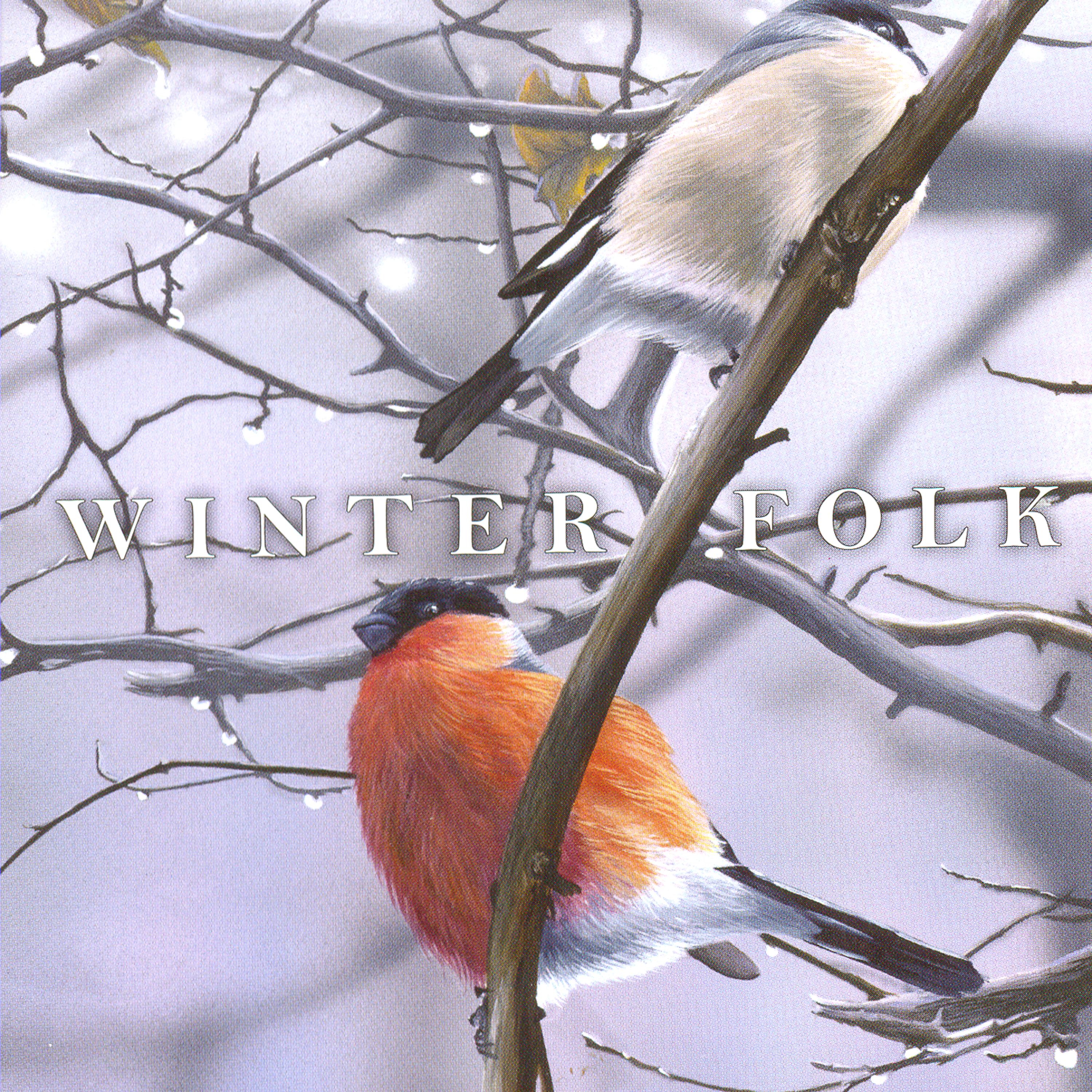 Постер альбома Winter Folk Compilation