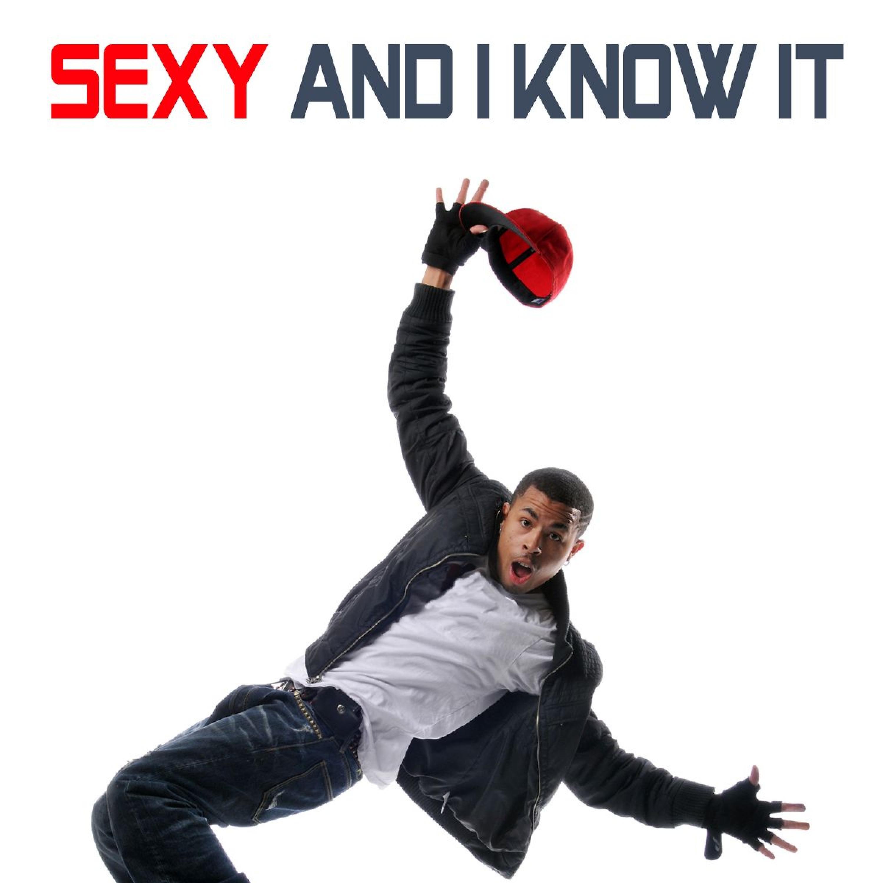 Постер альбома Sexy and I Know It