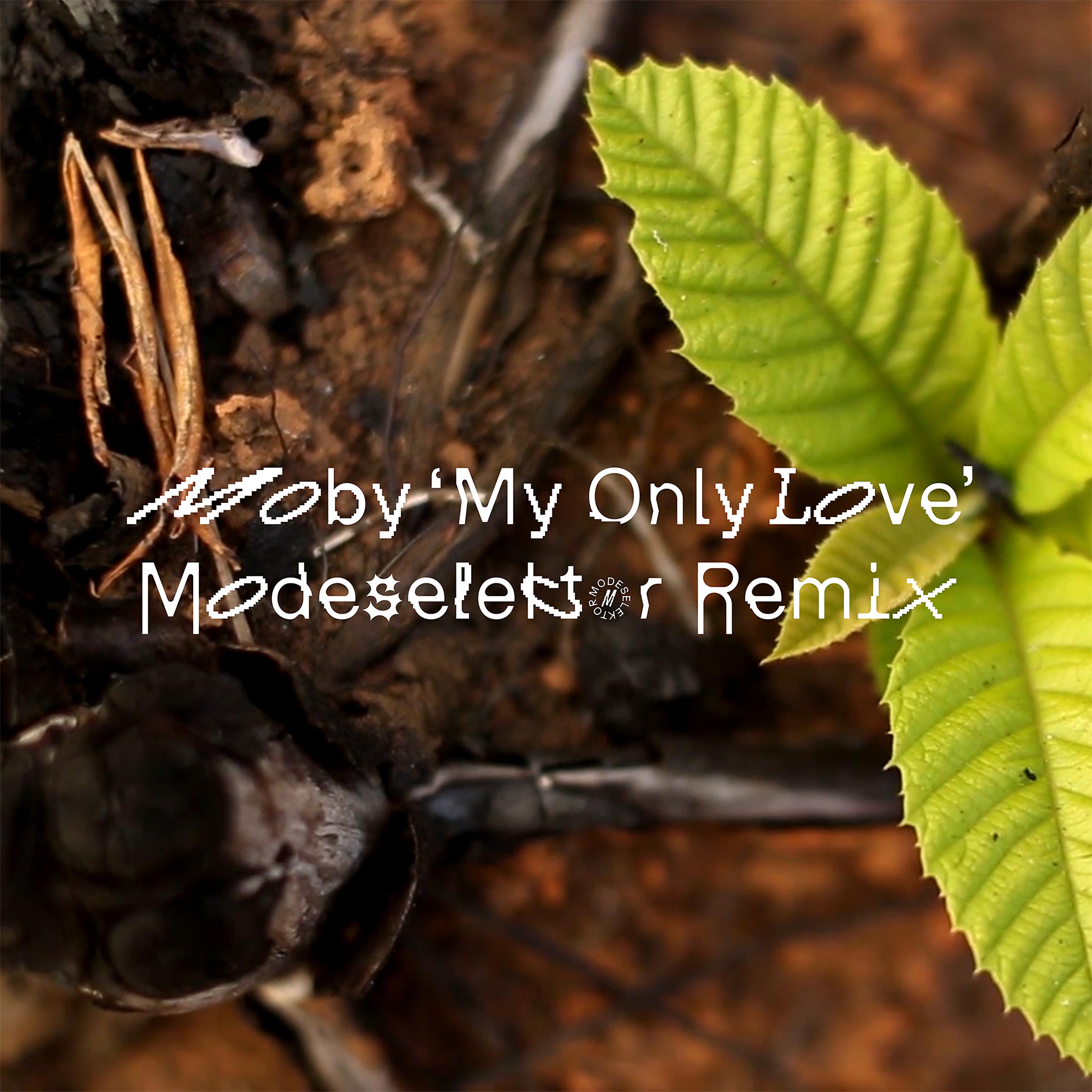 Постер альбома My Only Love (Modeselektor Remix)