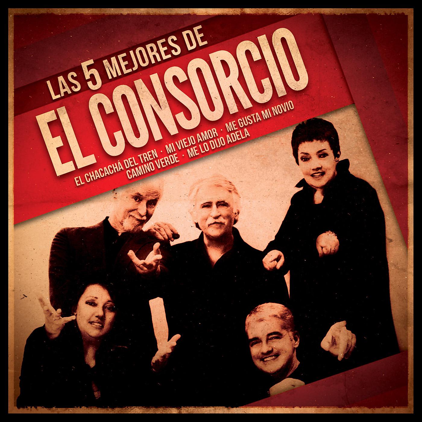 Постер альбома Las 5 mejores