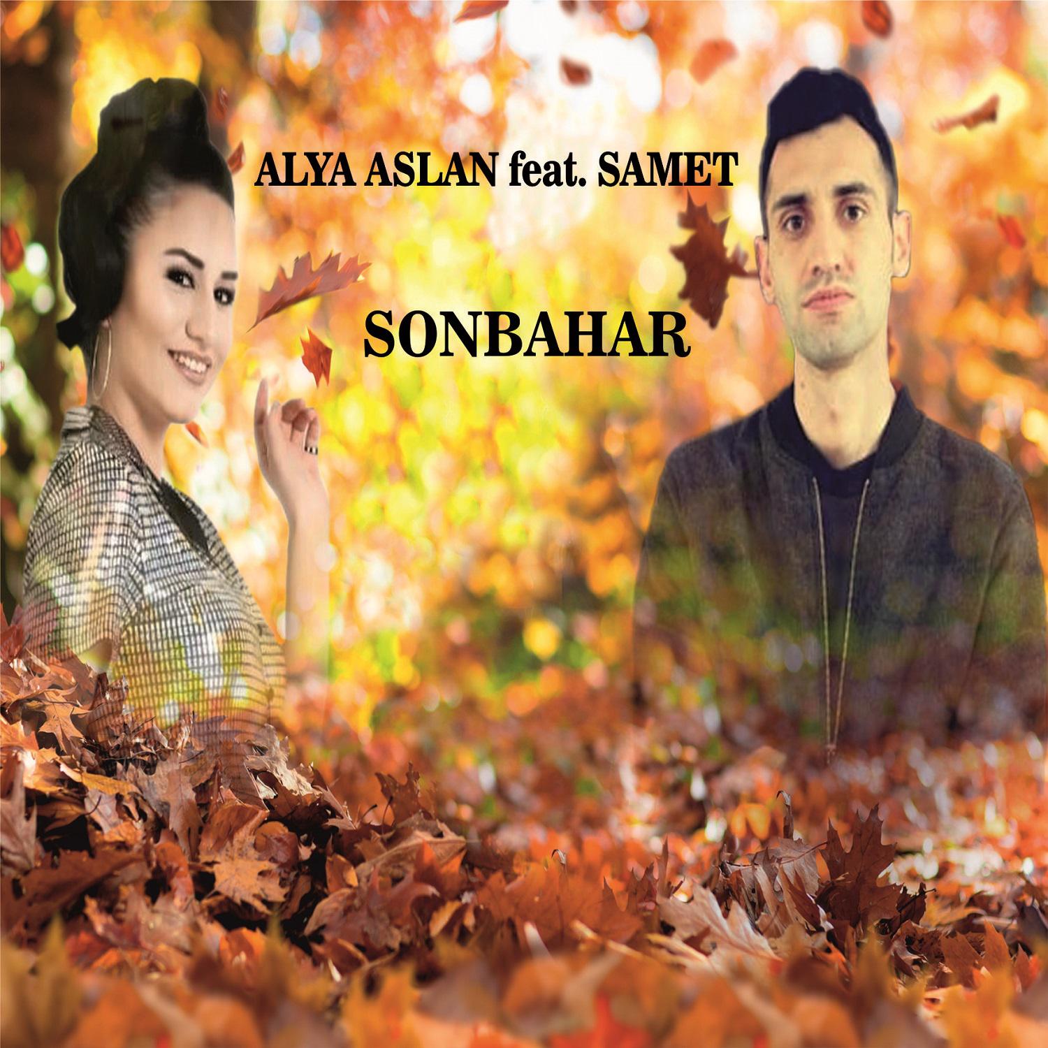 Постер альбома Sonbahar