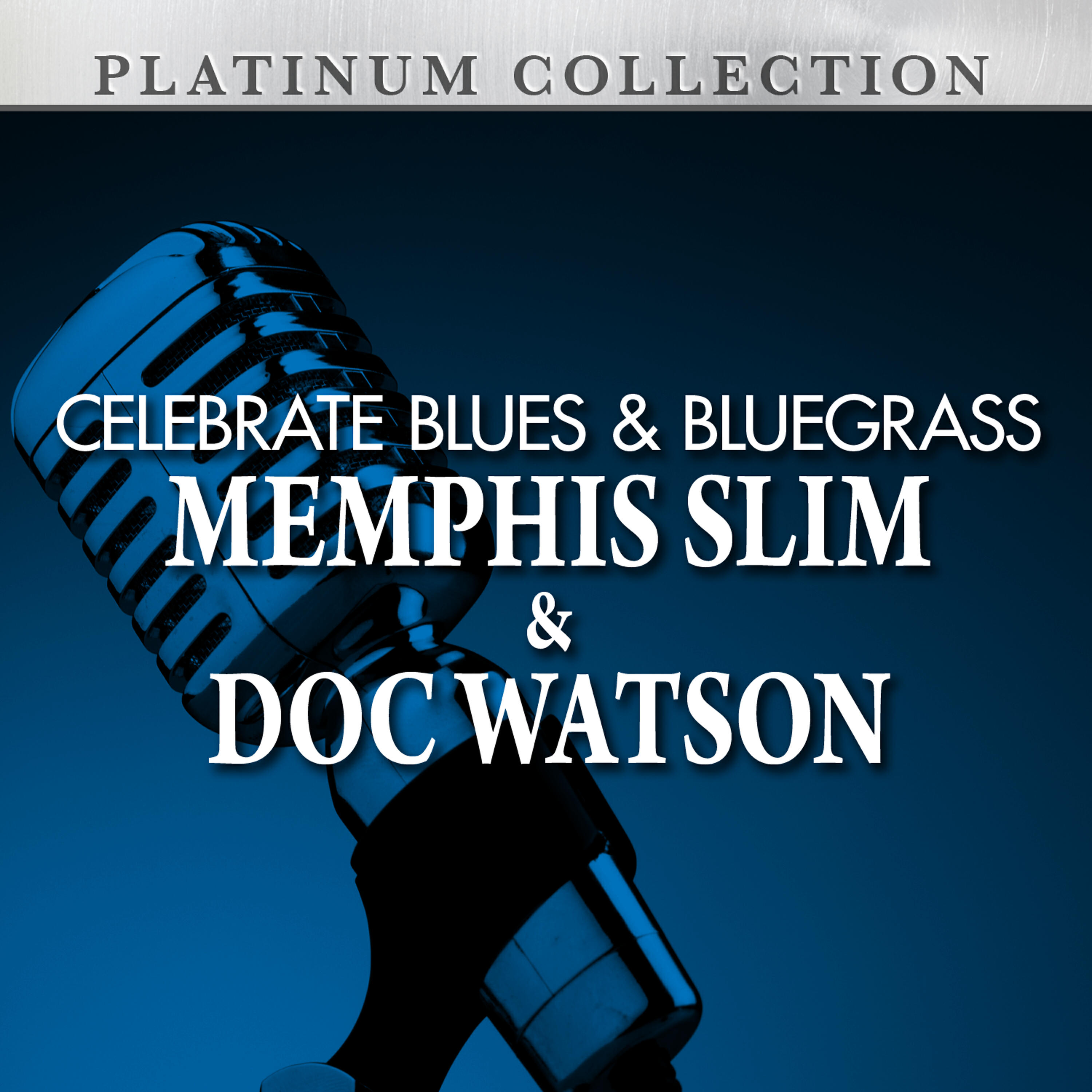 Memphis Slim - Having Fun (Re-Recorded Version)