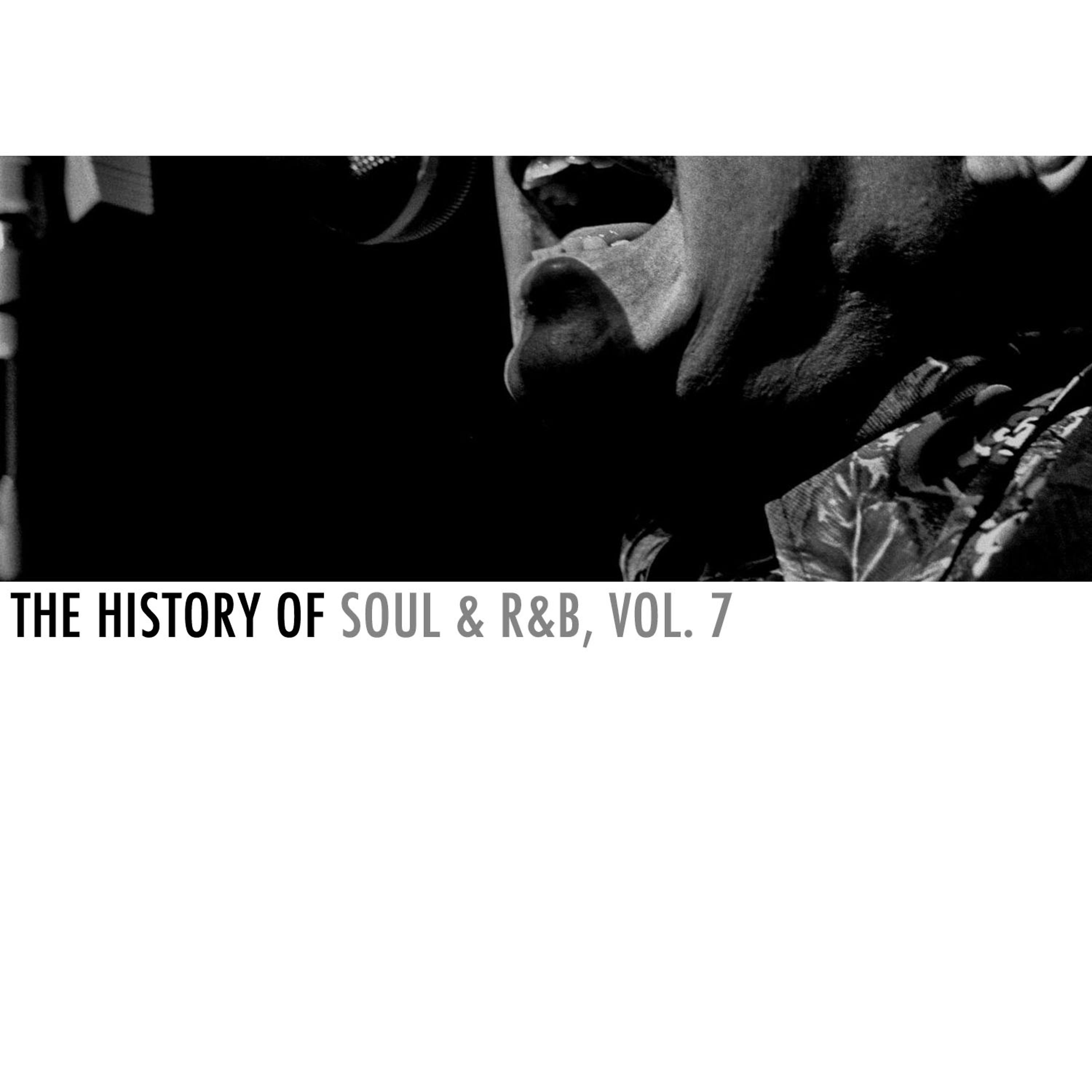 Постер альбома The History of Soul & R&B, Vol. 7