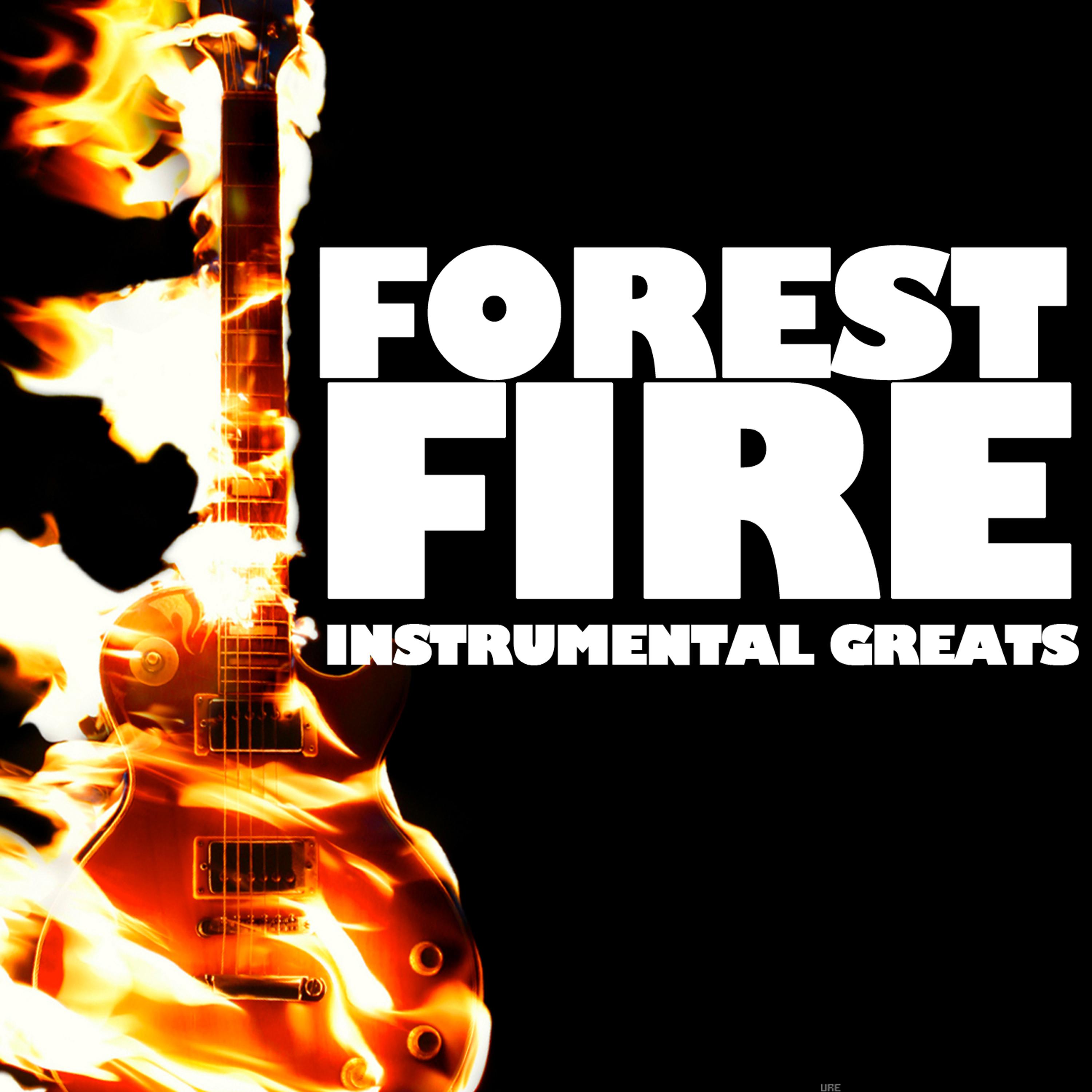 Постер альбома Forest Fire: Instrumental Greats