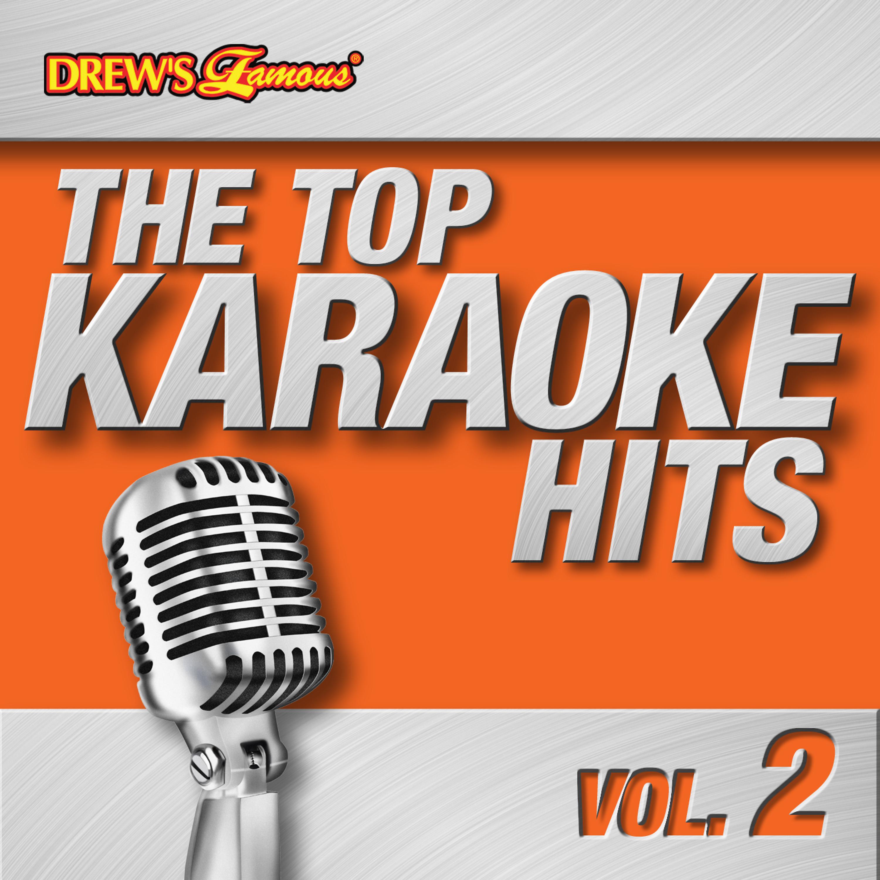 Постер альбома The Top Karaoke Hits, Vol. 2