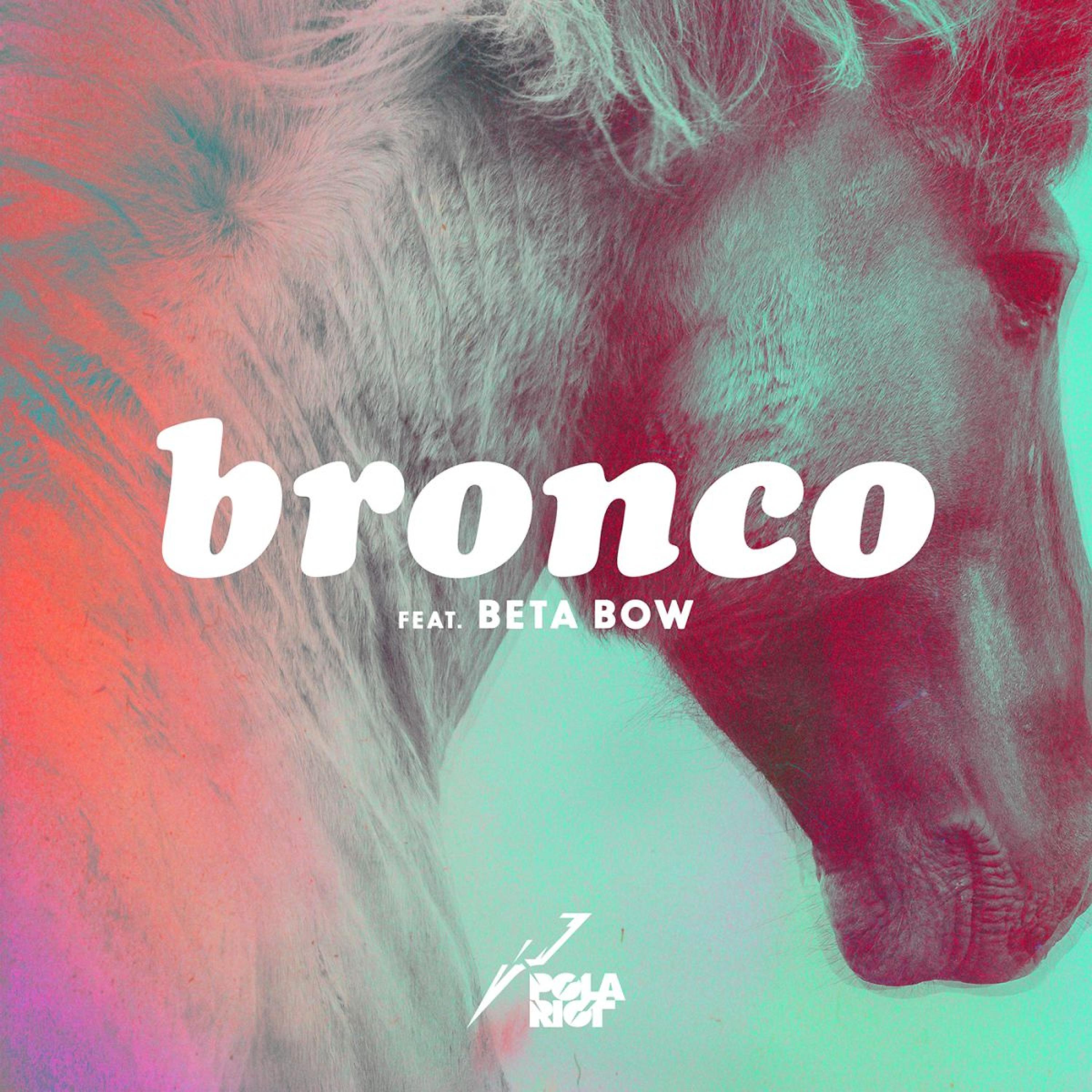 Постер альбома Bronco