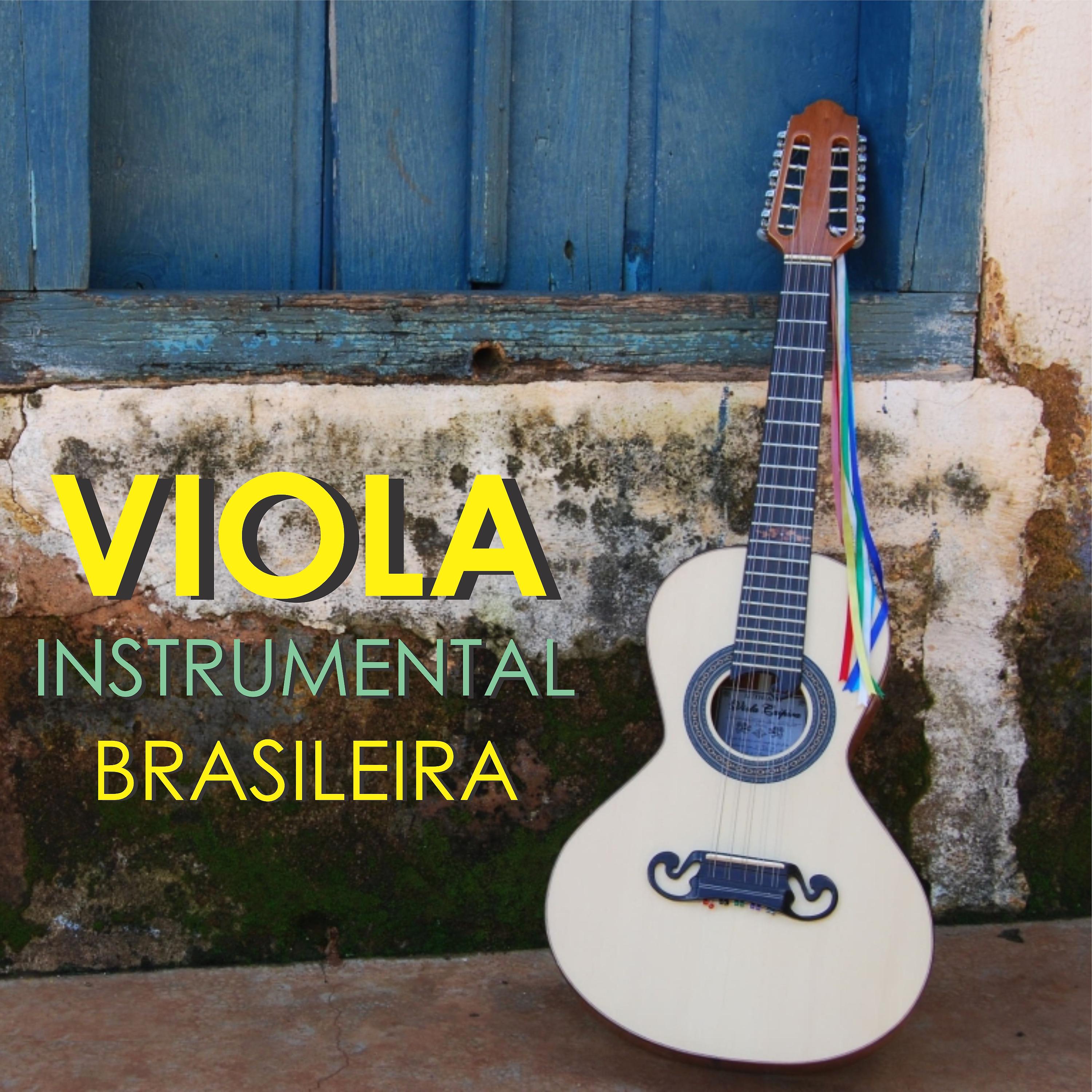 Постер альбома Viola Instrumental Brasileira
