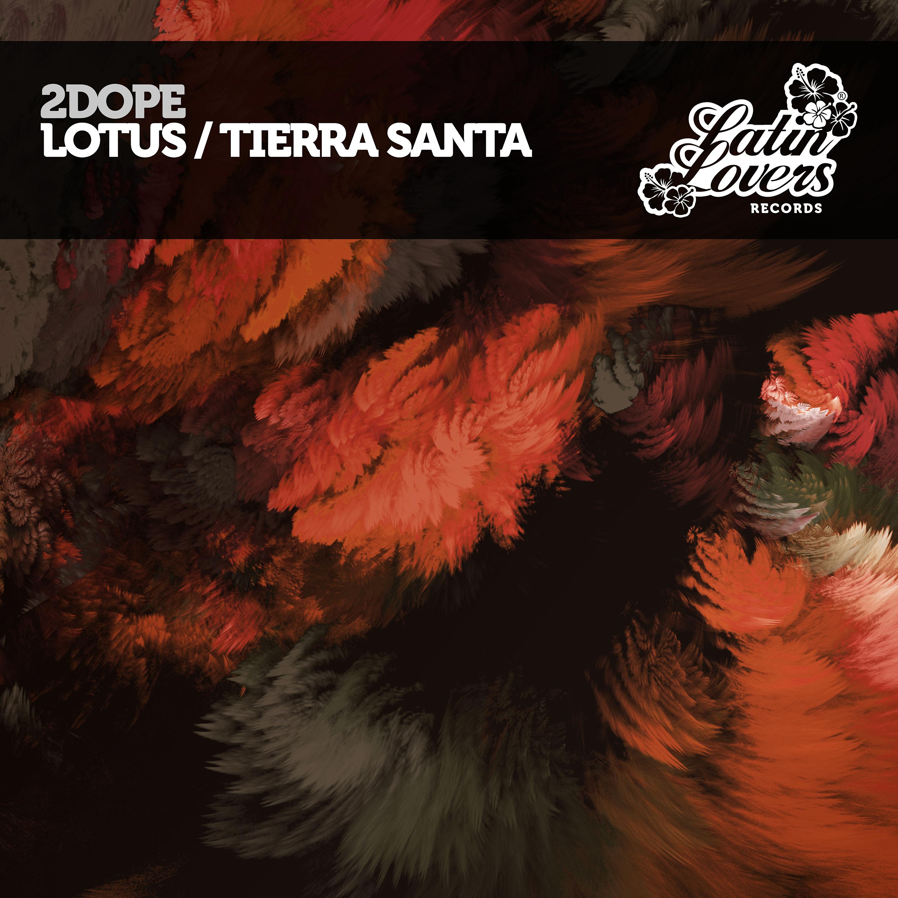 Постер альбома Lotus / Tierra Santa