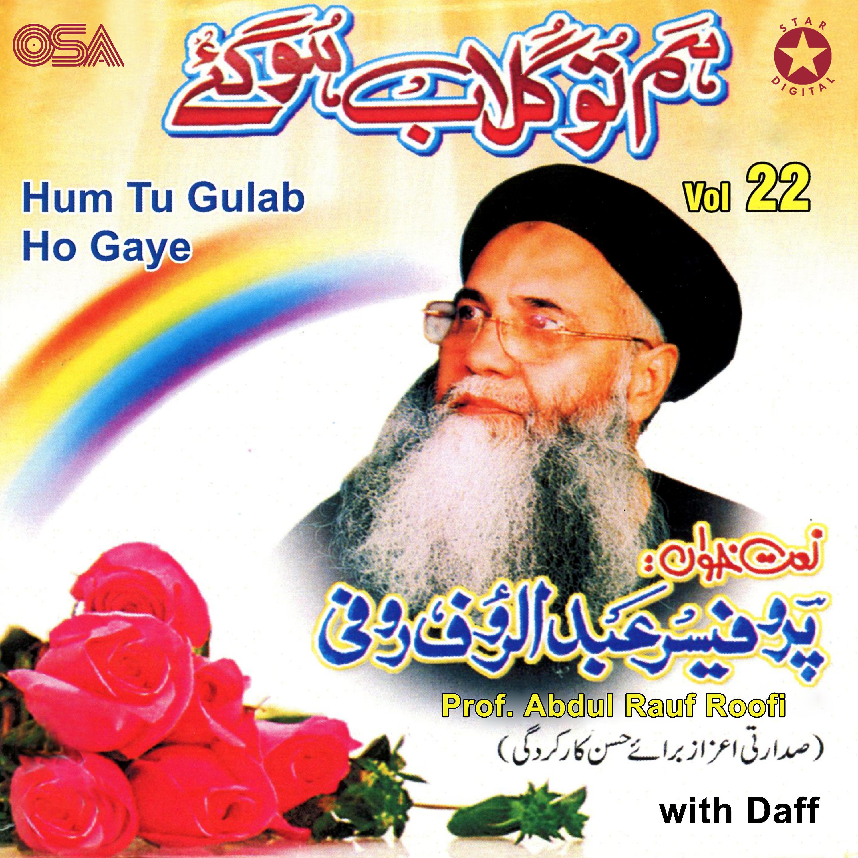 Постер альбома Hum Tu Gulab Ho Gaye, Vol. 22