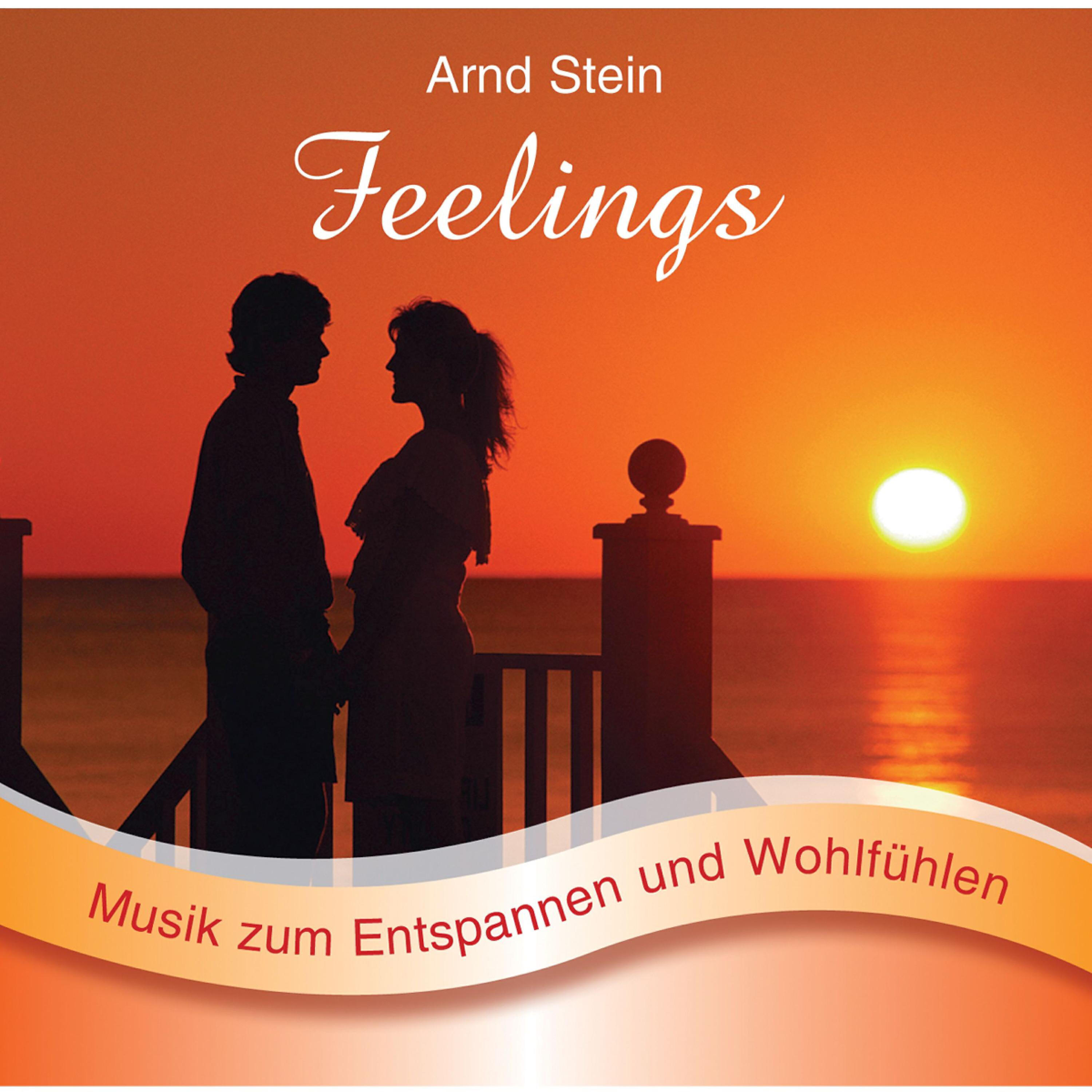 Dr. Arnd Stein - Feelings
