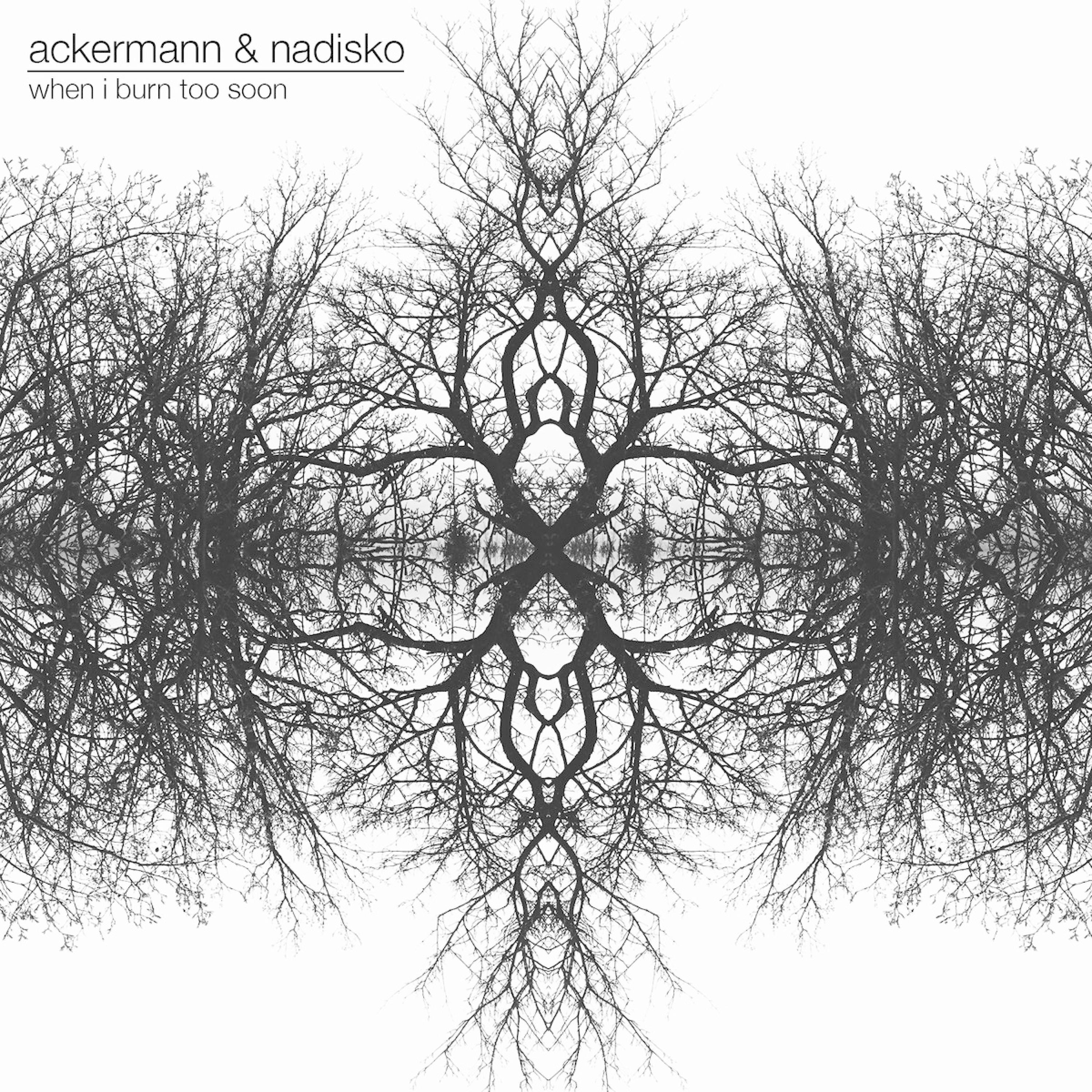 Ackermann - When I Burn Too Soon (Instrumental)