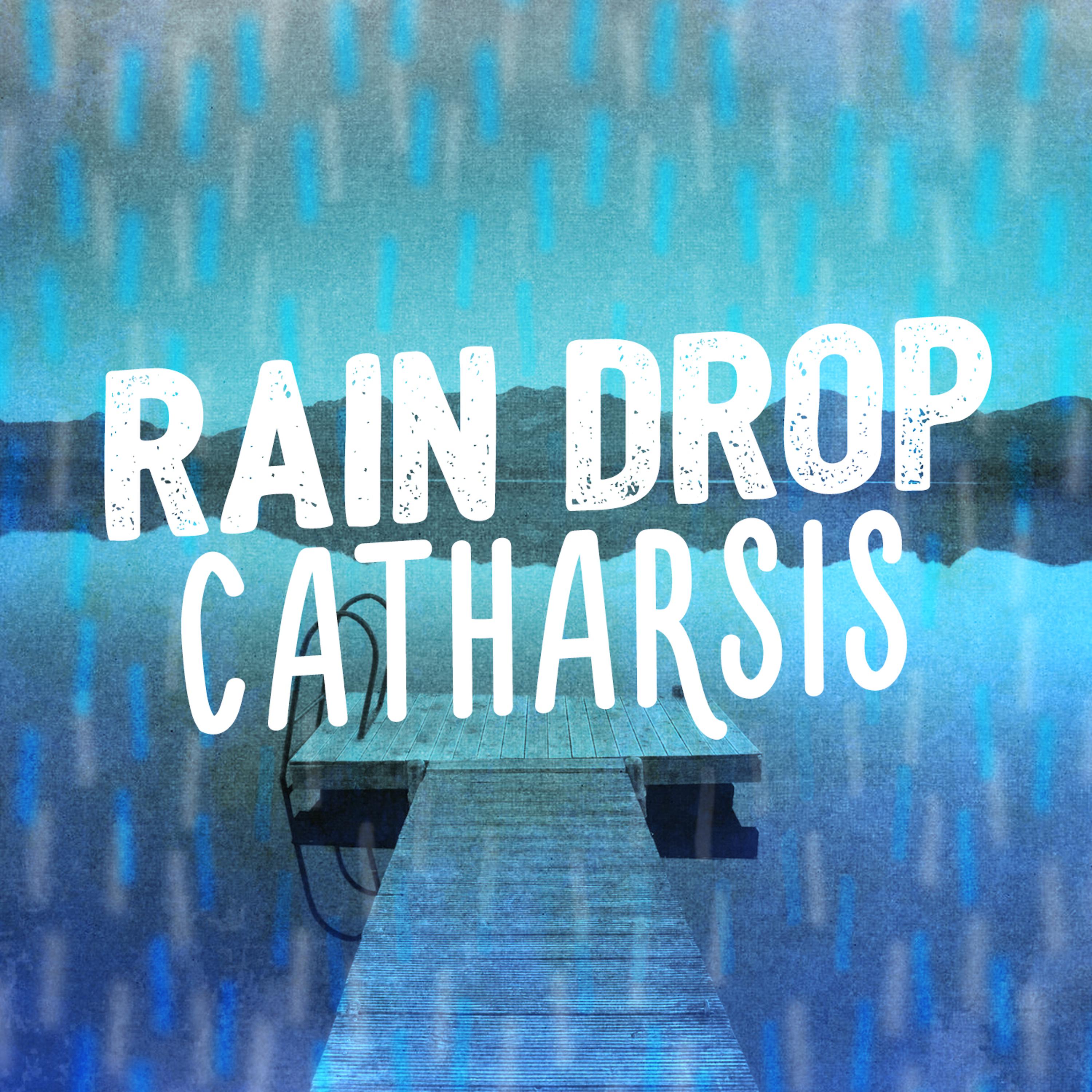 The Rain Sound Sleep Workshop - Rainy Day Windows