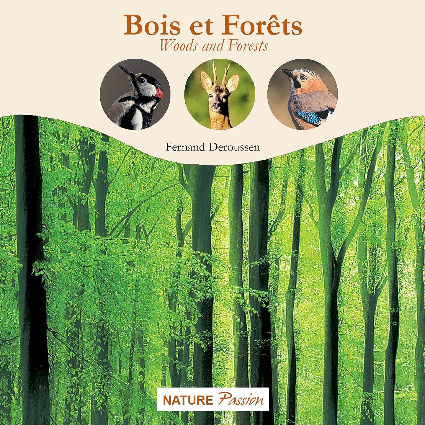 VARIOUS ARTISTS - La grande forêt