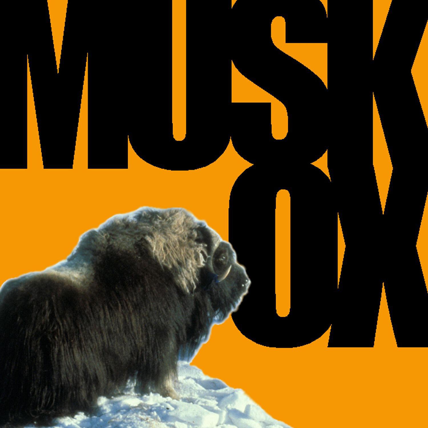 Musk OX - Delta Velcro