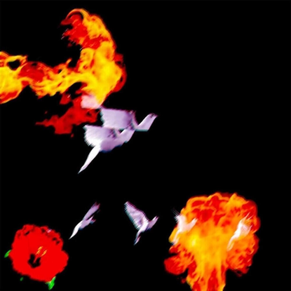 MFK Marcy Mane - Go Away Marcy