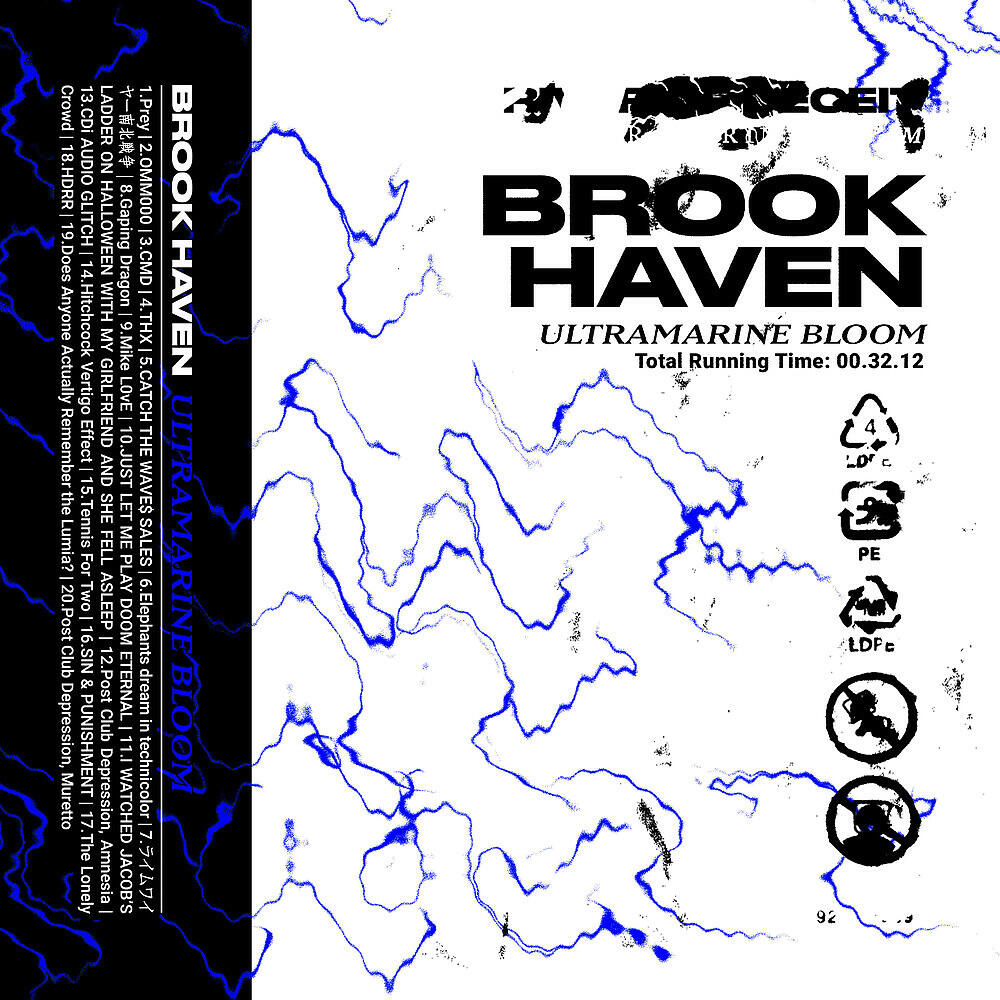 Brook Haven - Hitchcock Vertigo Effect