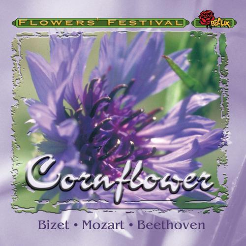 Постер альбома Cornflower