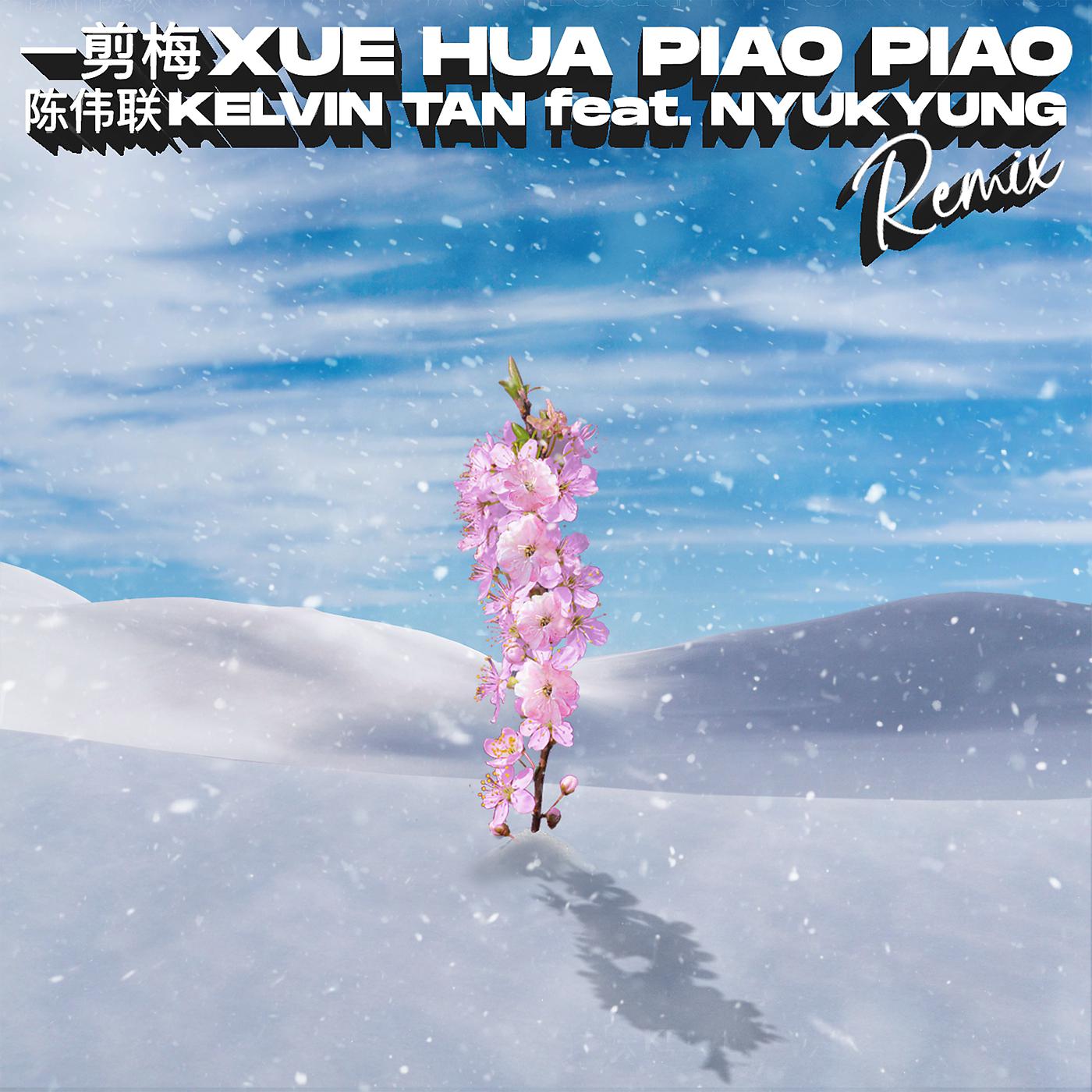 Постер альбома Yi Jian Mei Xue Hua Piao Piao