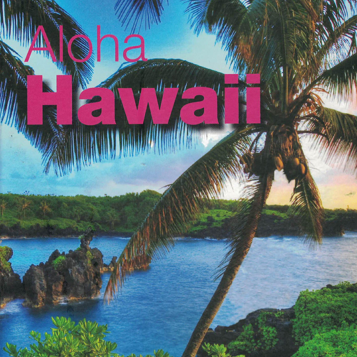Paul Austin Kelly - E Kuʻu Lei E Kuʻu Ipo