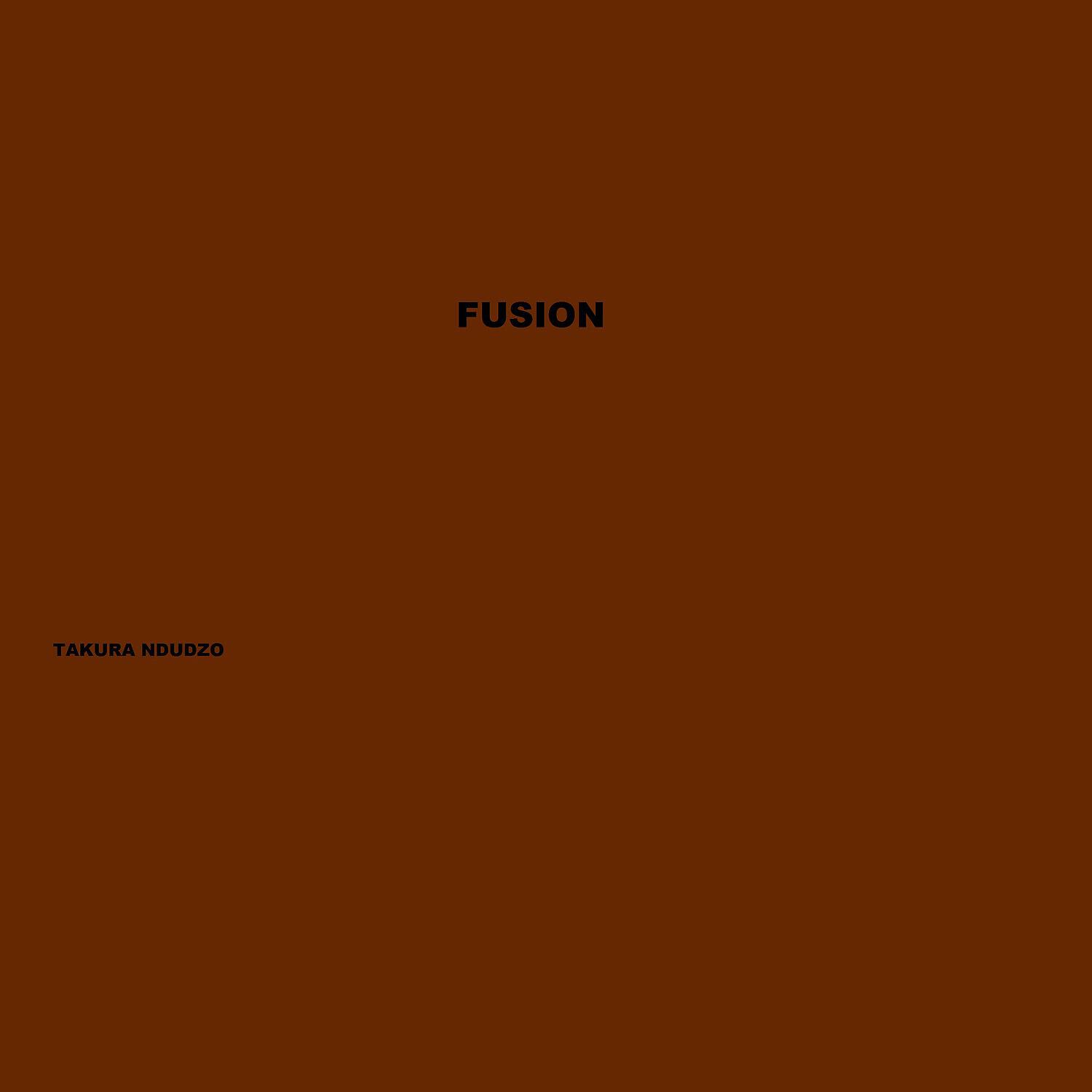 Takura Ndudzo - Fusion