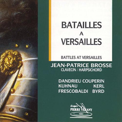 Jean-Patrice Brosse - Les caractères de la guerre : La mélée les cris les plaintes