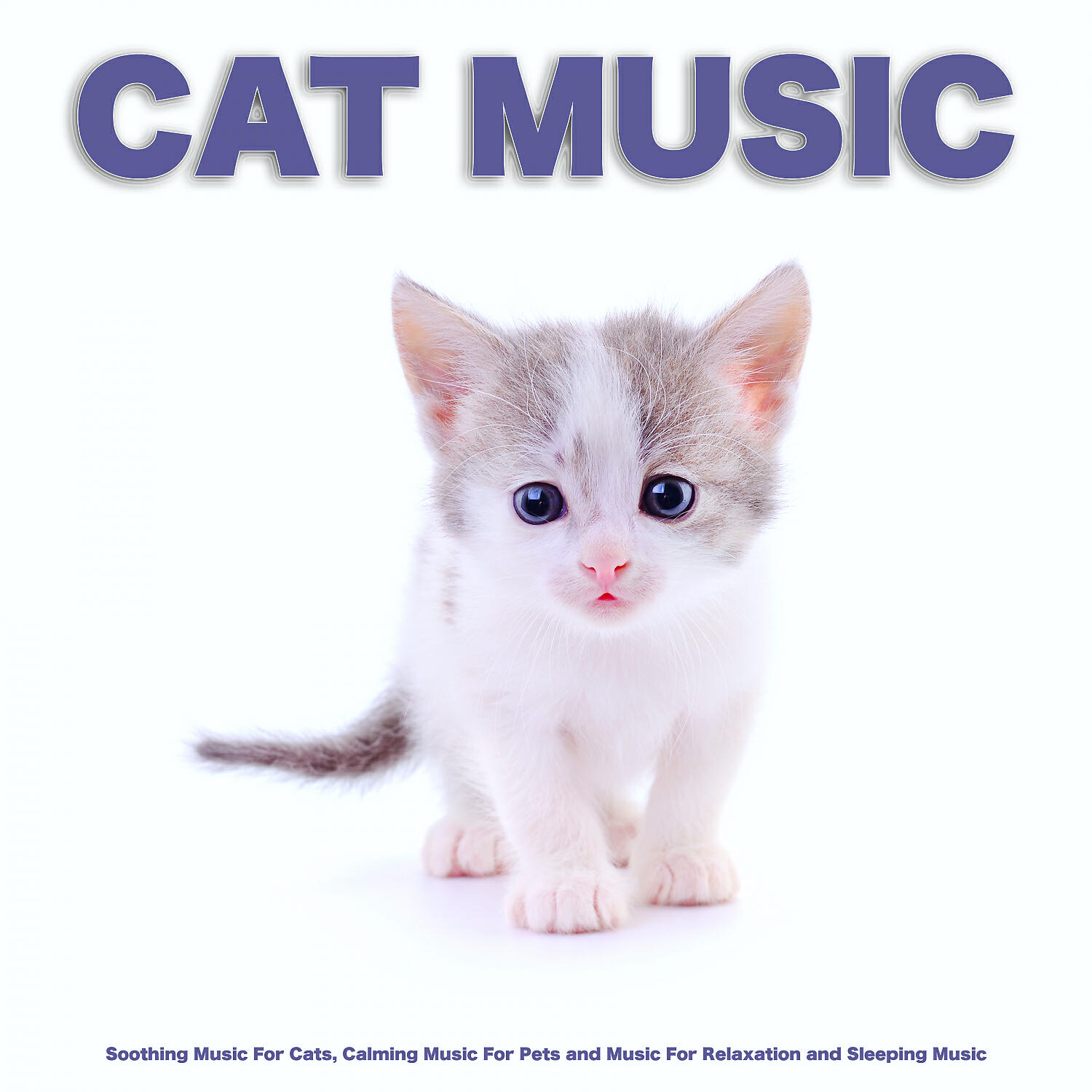 Cat Music - Instrumental Music For Pets While You're Away