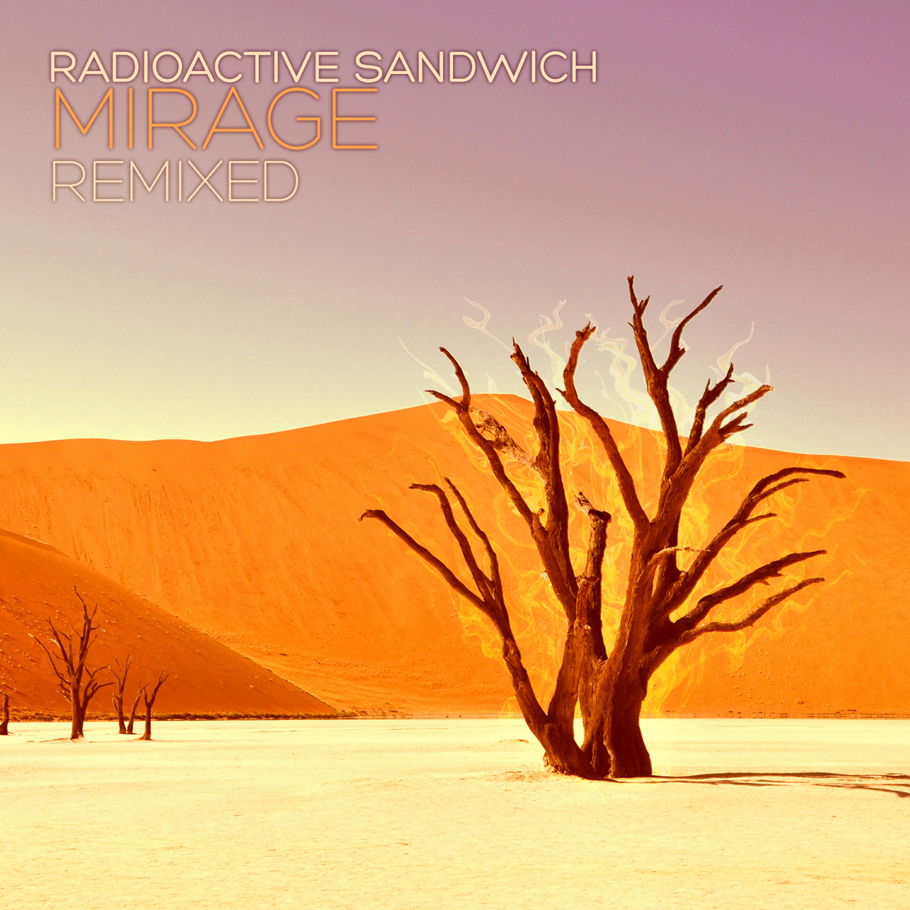 Radioactive Sandwich - An Echo Is the Shadow of a Sound (Audioglider Remix)