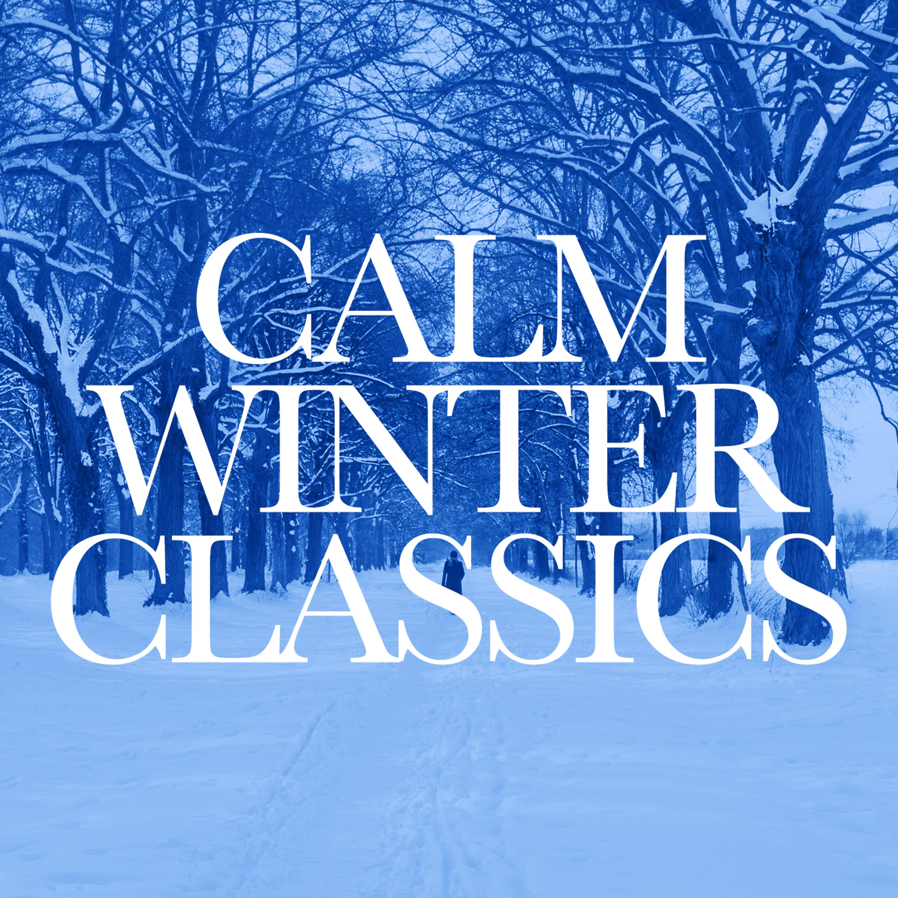 Постер альбома Calm Winter Classics