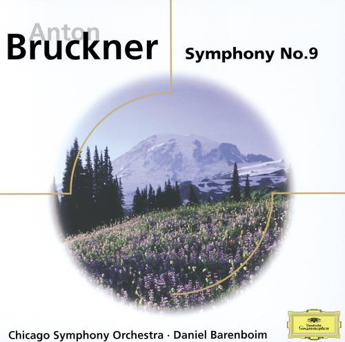 Постер альбома Bruckner: Symphony No. 9; Psalm 150